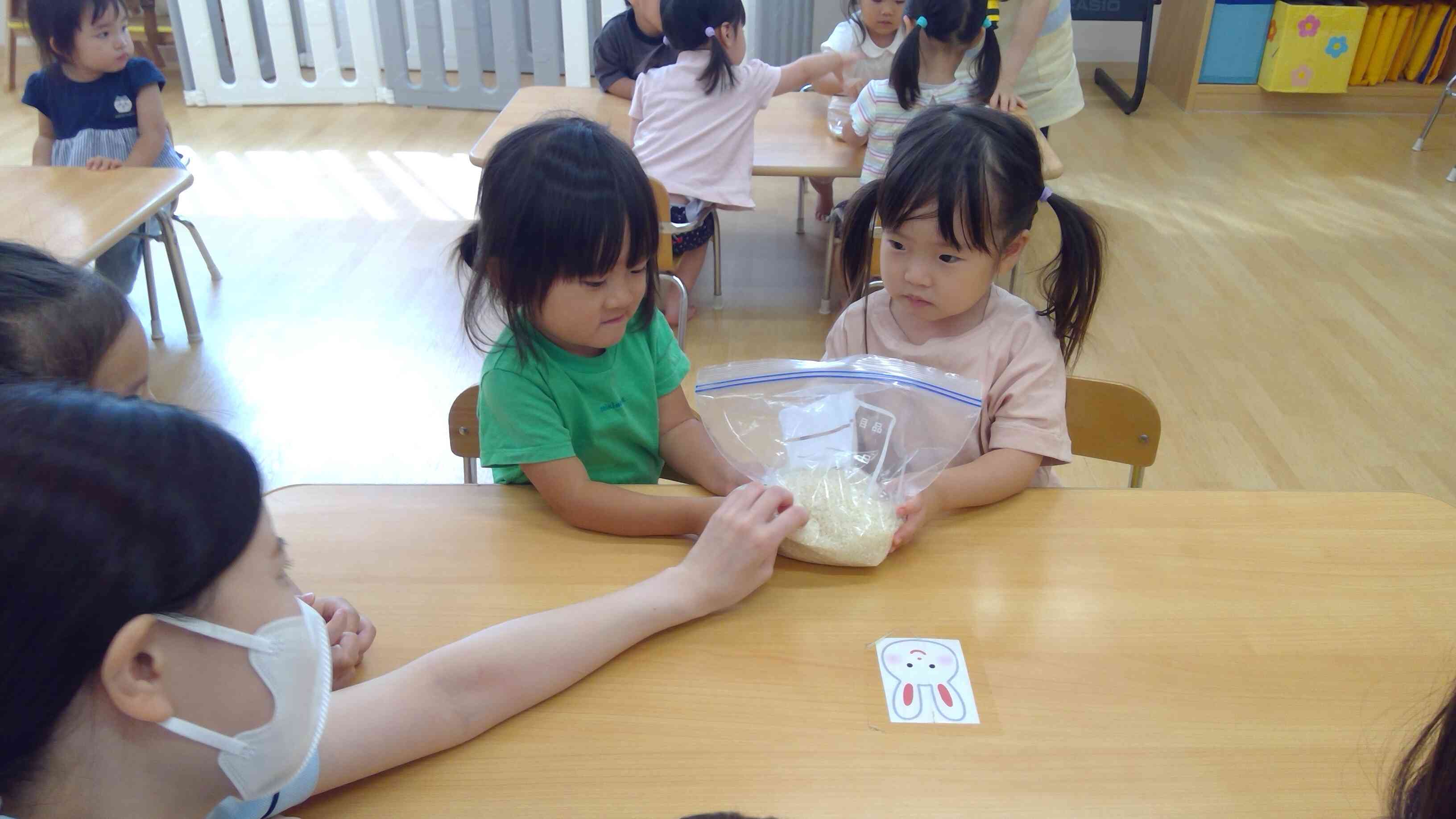 お米を観察