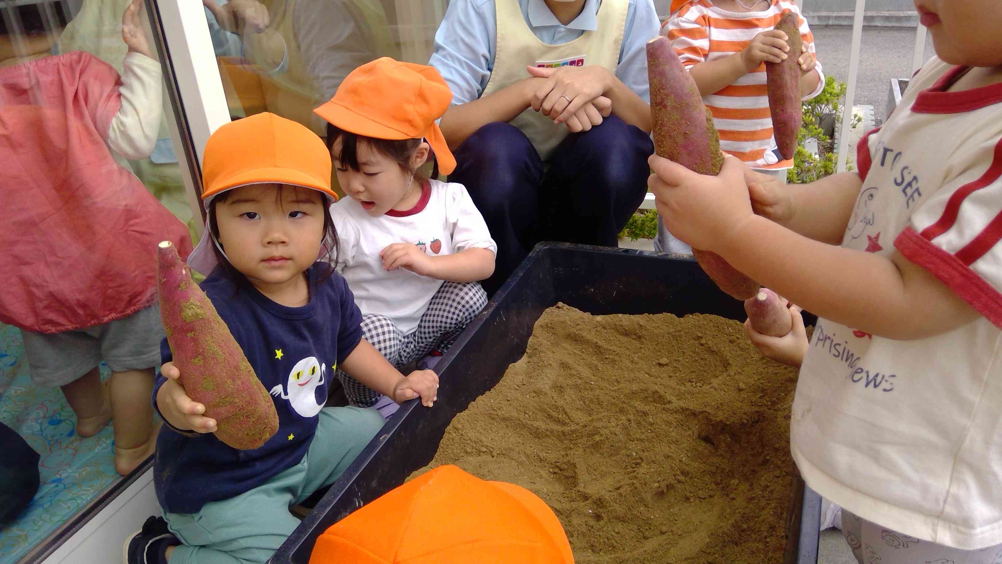 大きいのみーつけた