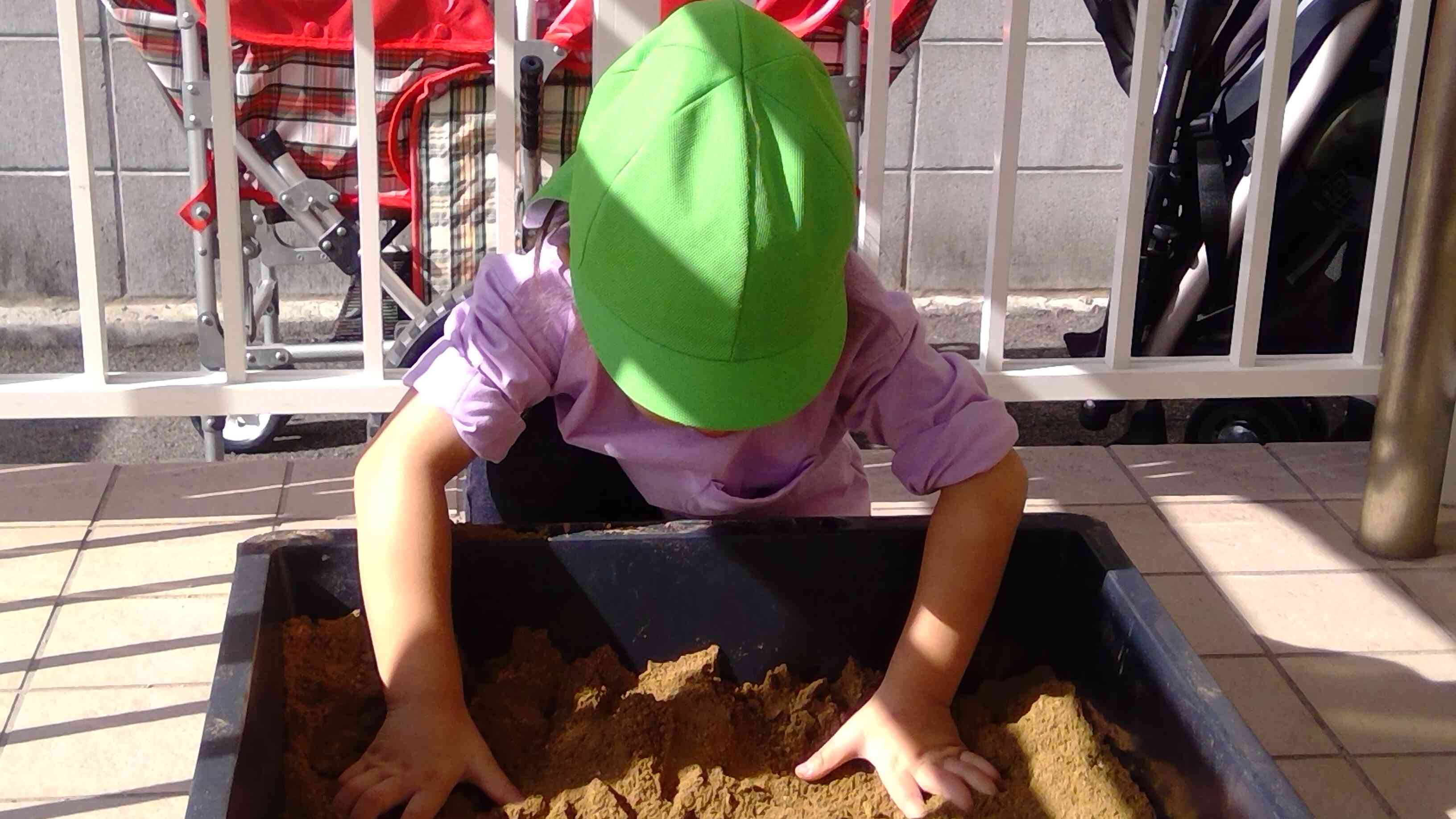 土の中からこんにちは