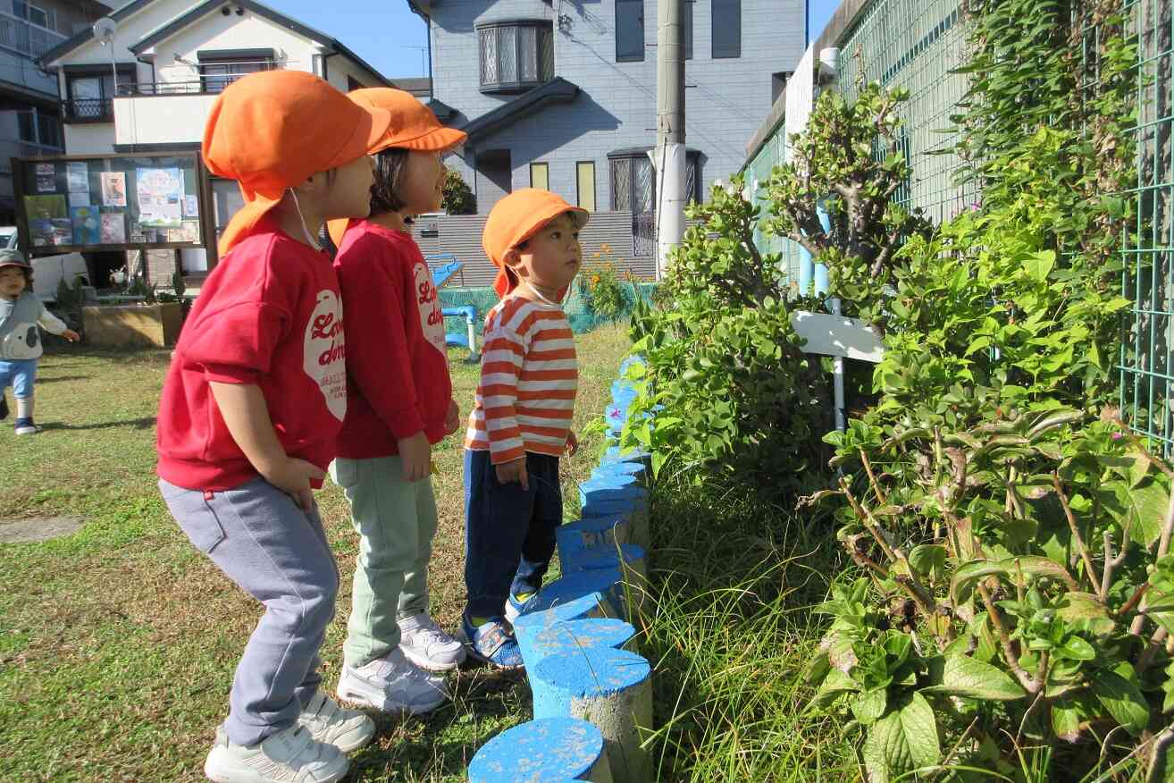 気候も良く外遊びが増えてきています！