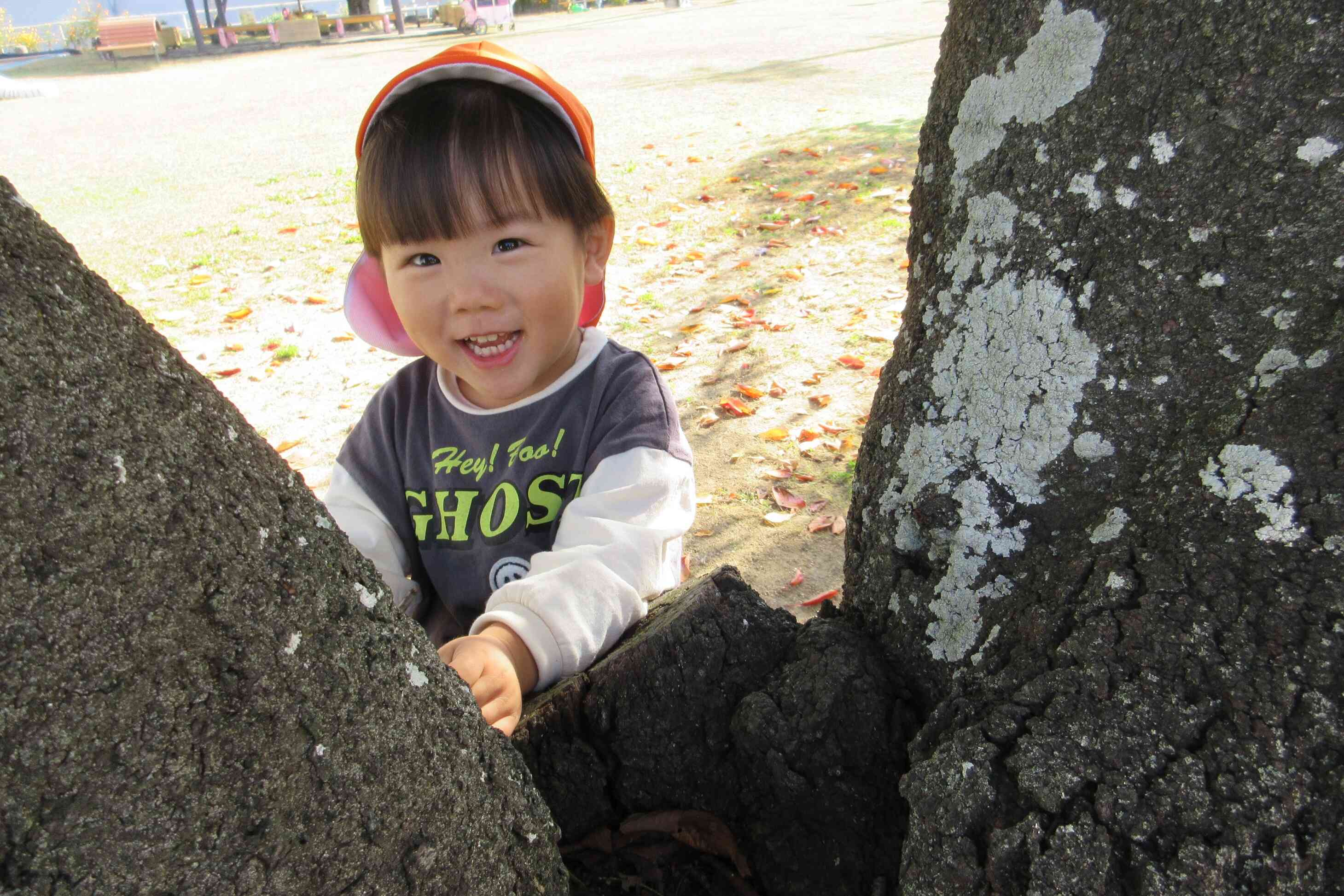 木の間から可愛い笑顔が…！