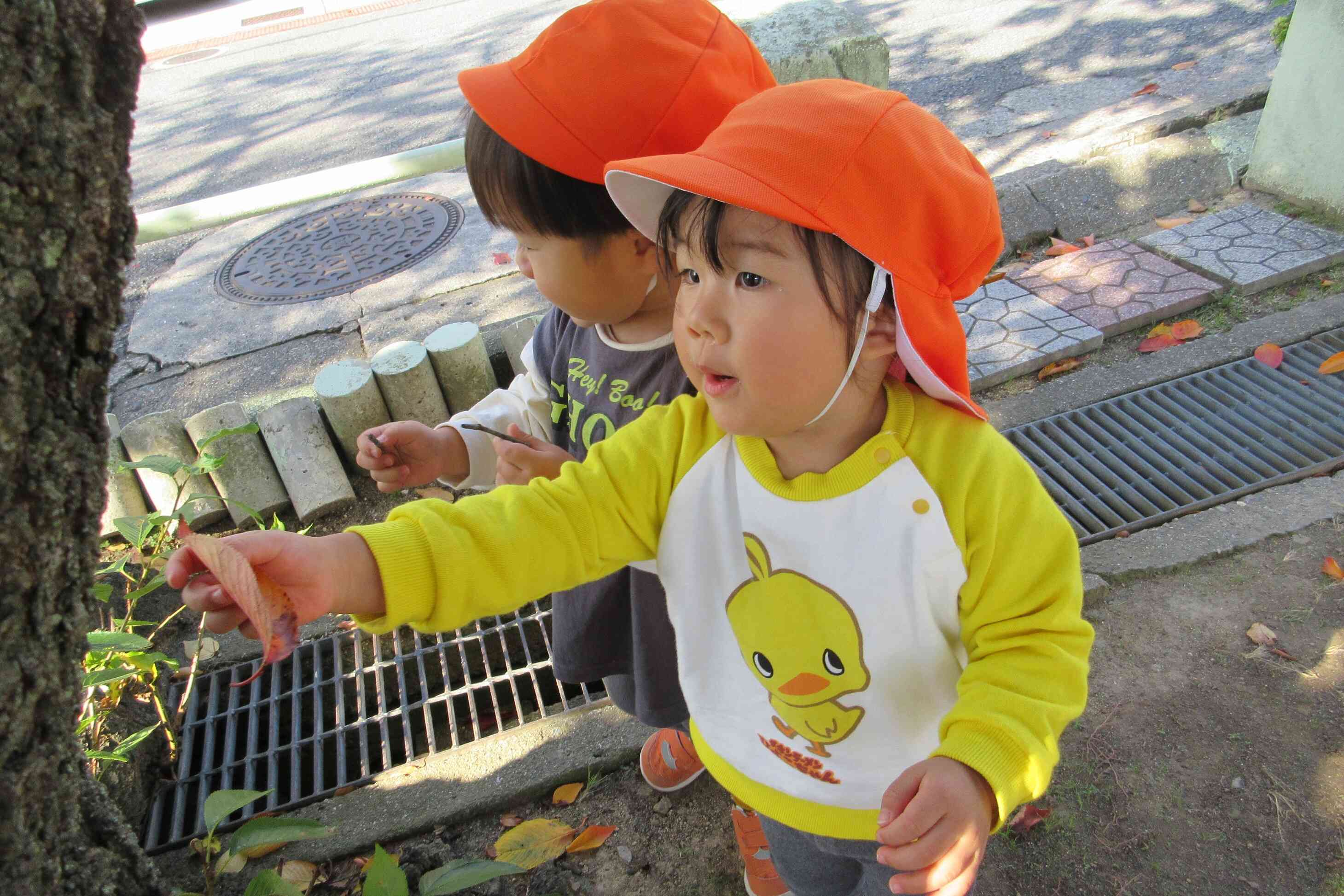 落ち葉がいっぱい。拾ったよ！