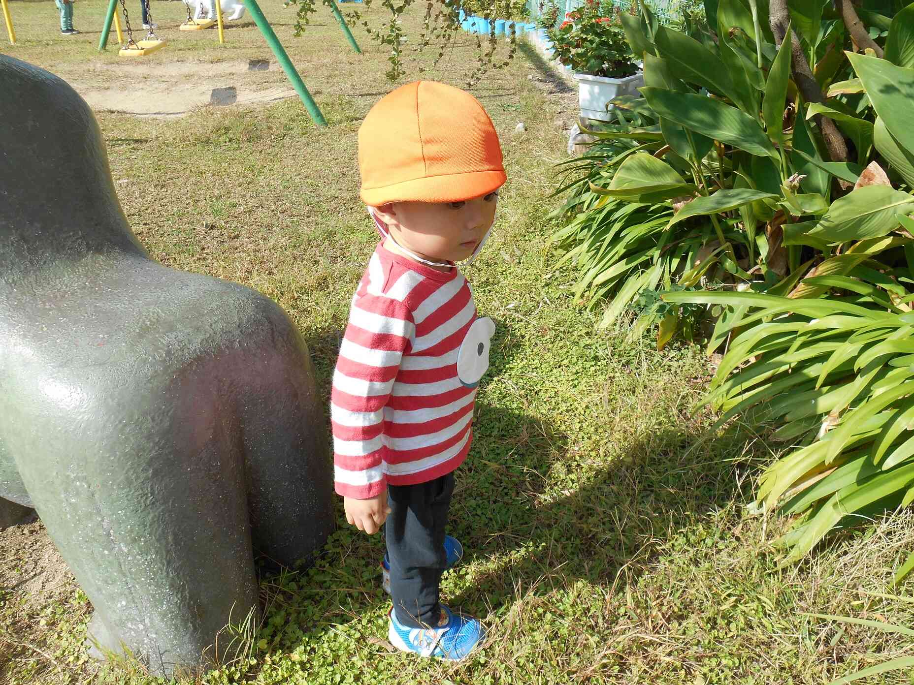 なにかいるかな？