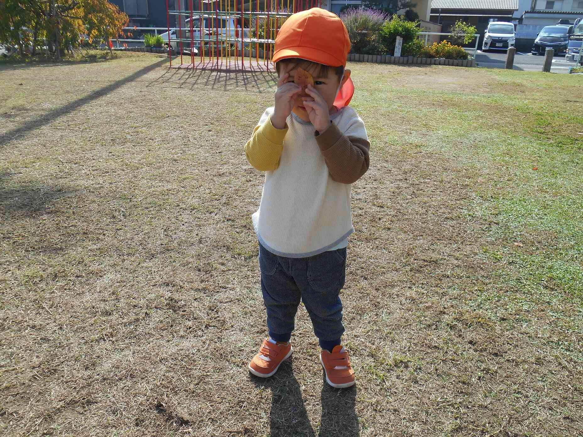 （１歳児：あひる組）落ち葉がいっぱい