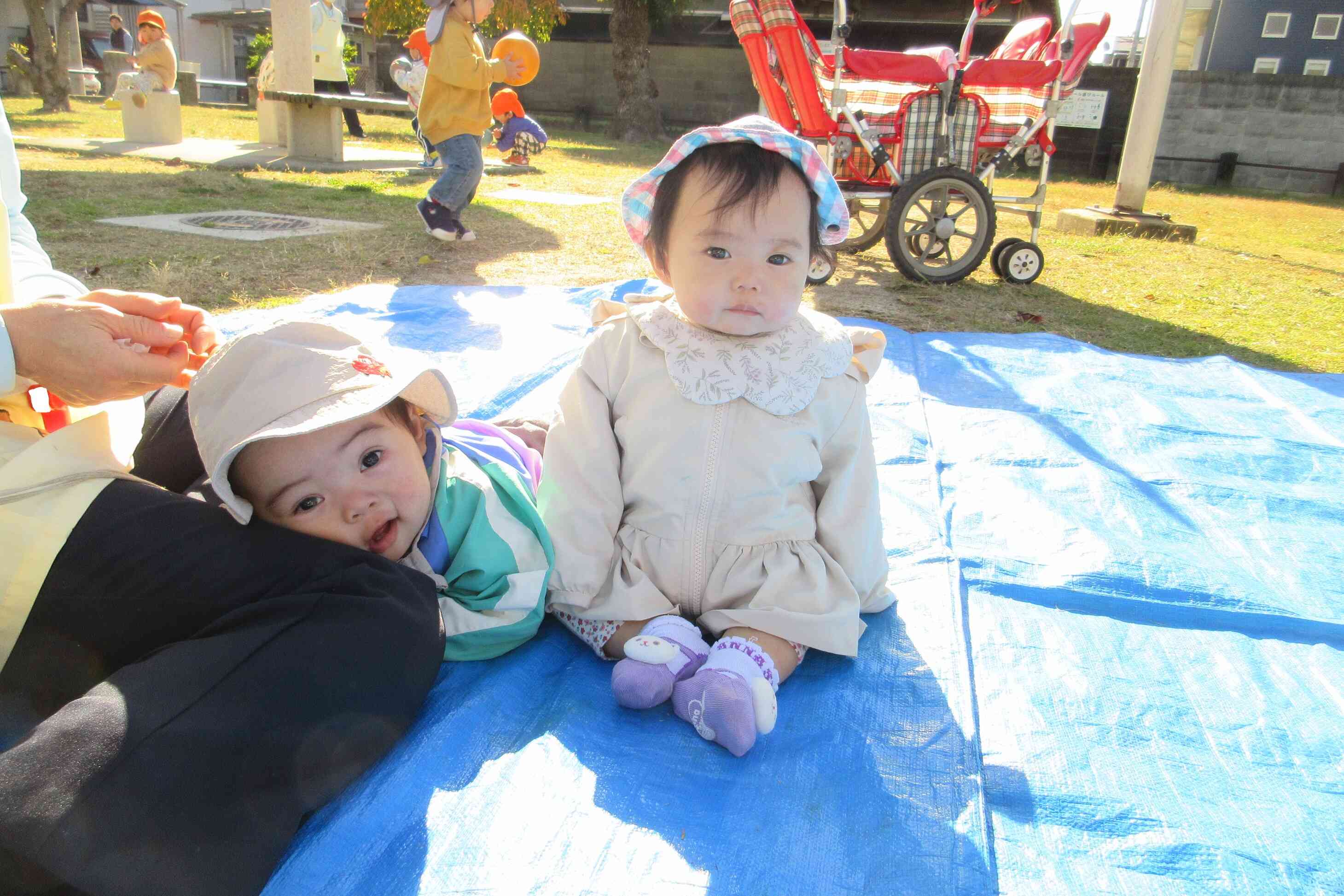 日向ぼっこだね