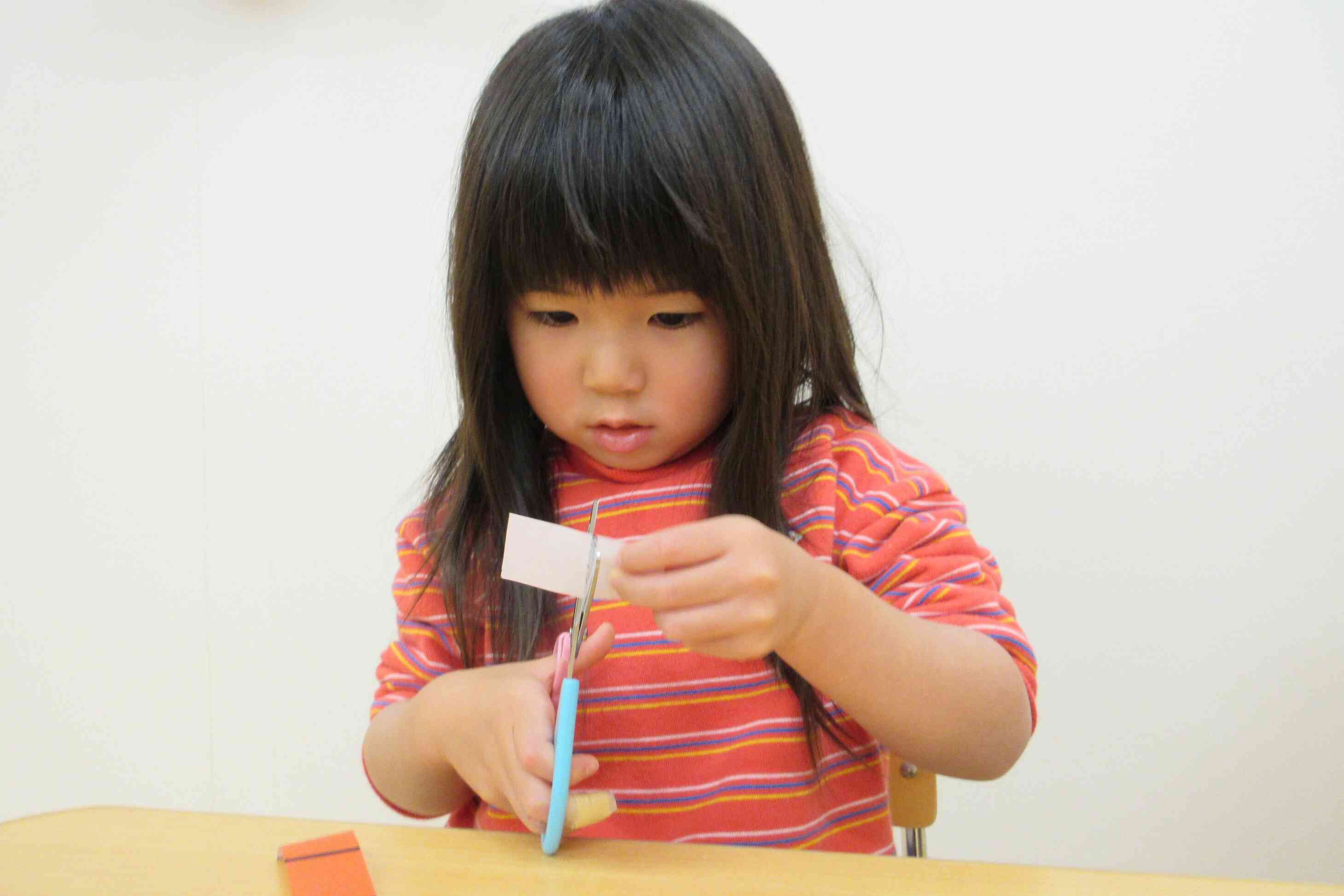 集中しているね