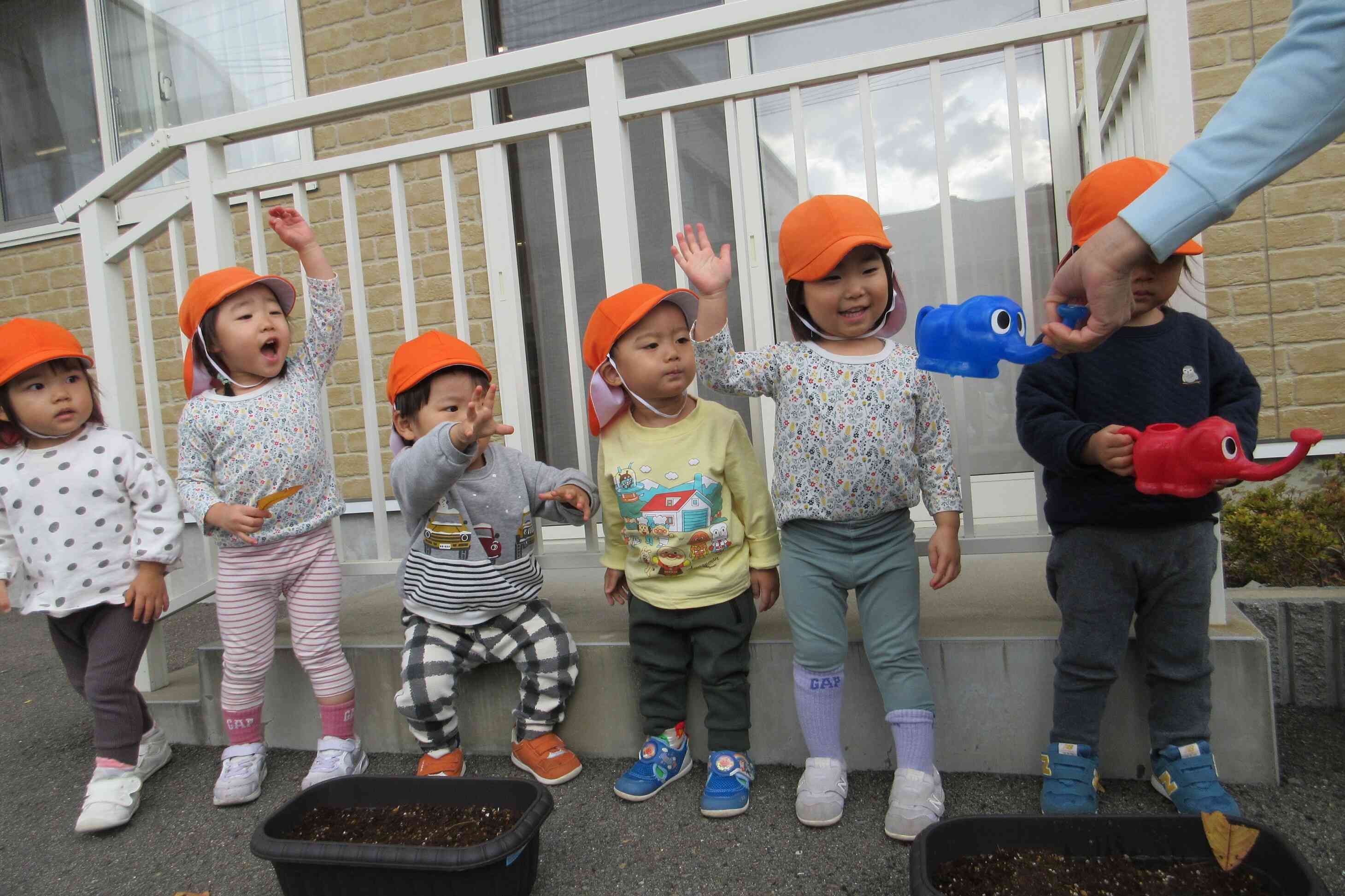 （１歳児：あひる組）どんな花が咲くかな？