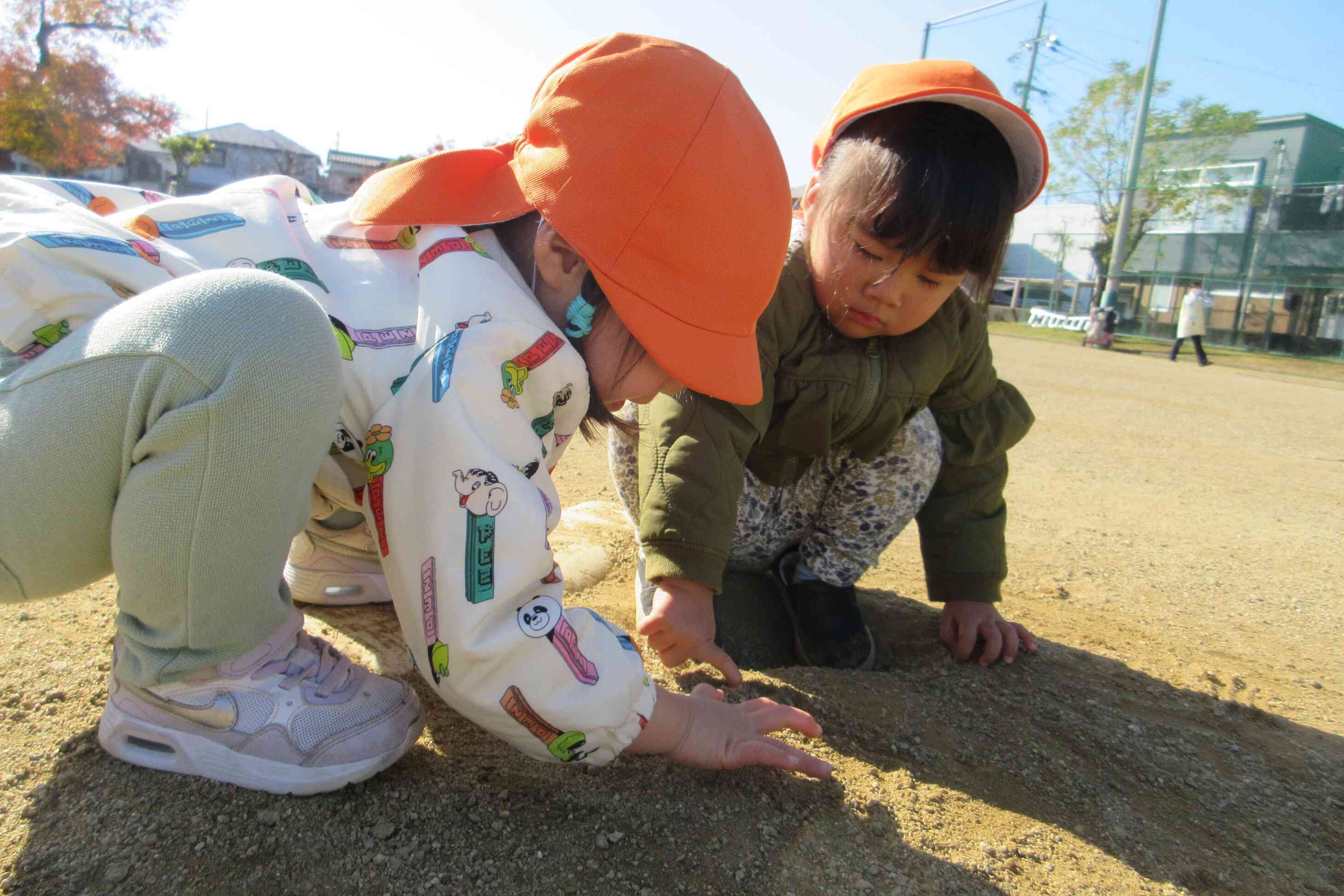 アリさんいるかな～？