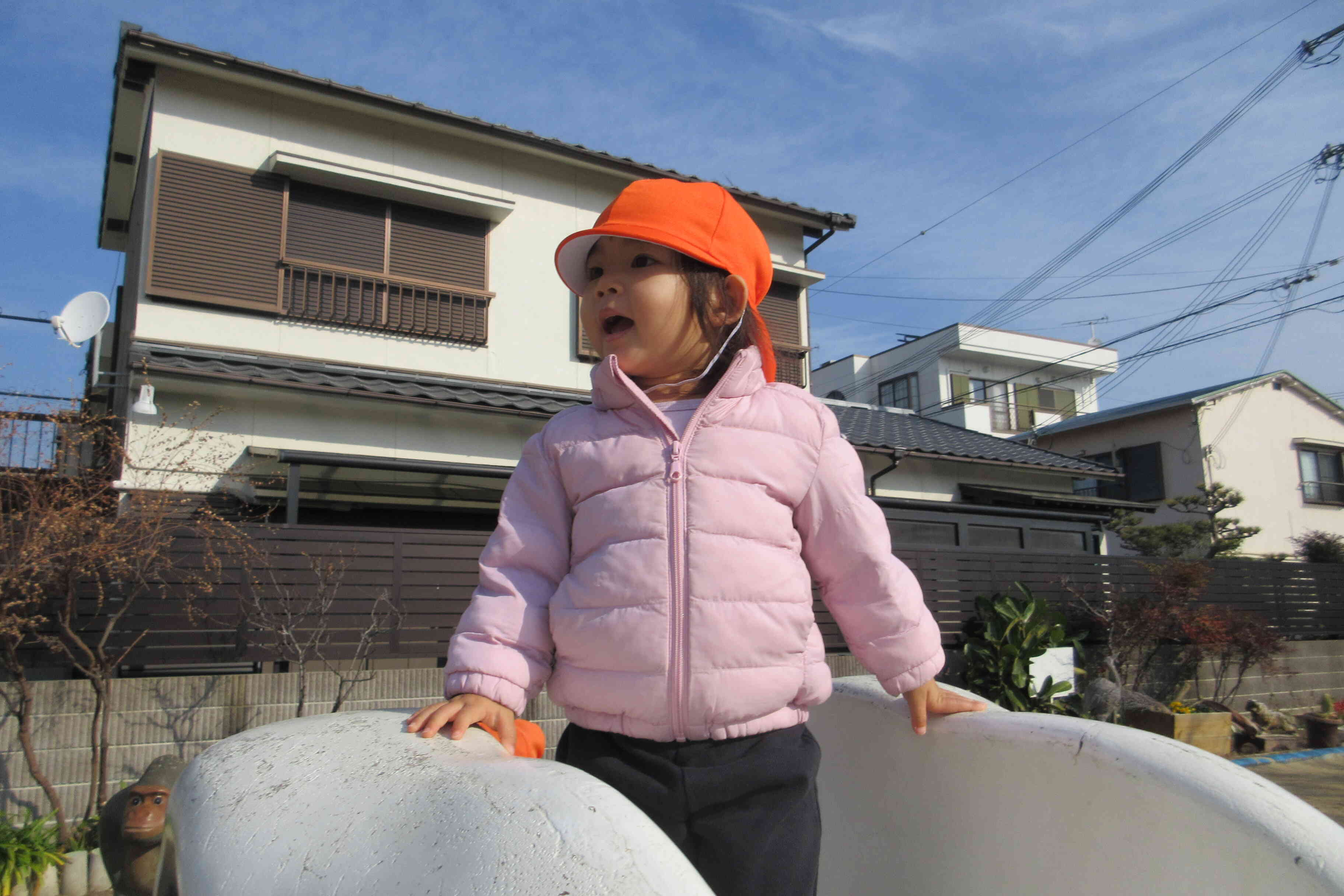 何かを発見！！