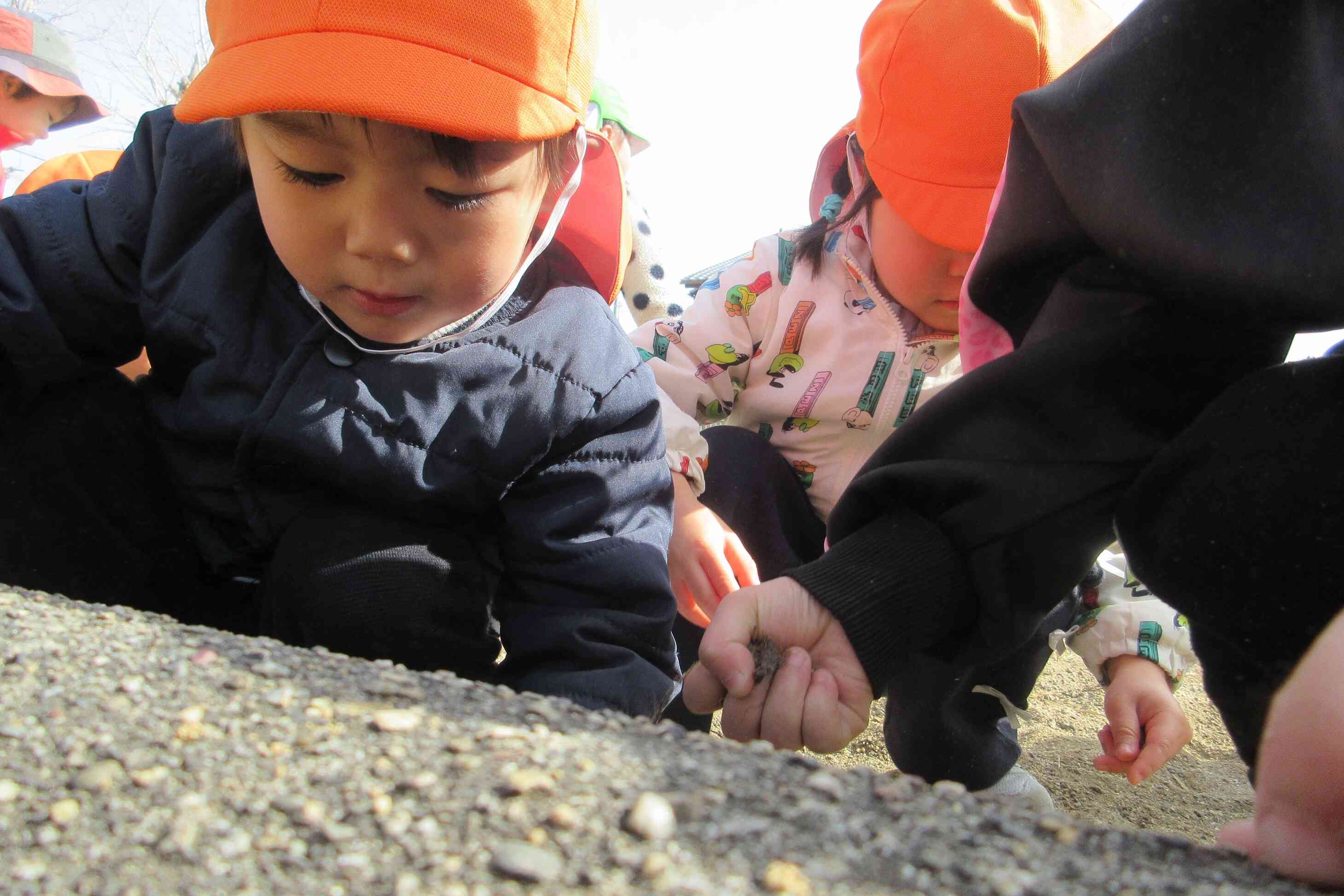 【１歳児：あひる組】探索ブームです！