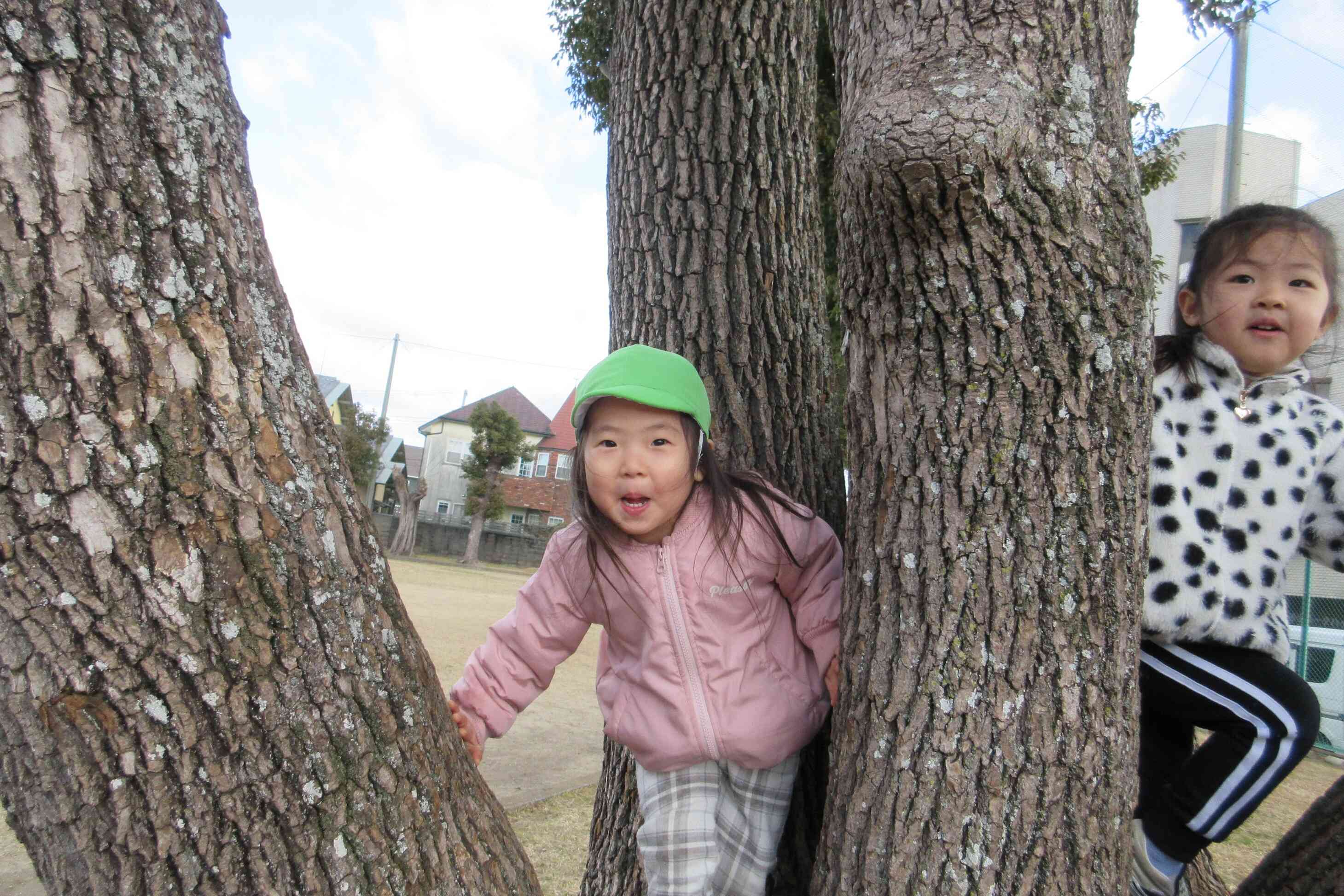 【2歳児:うさぎ組】木登りも楽しいね