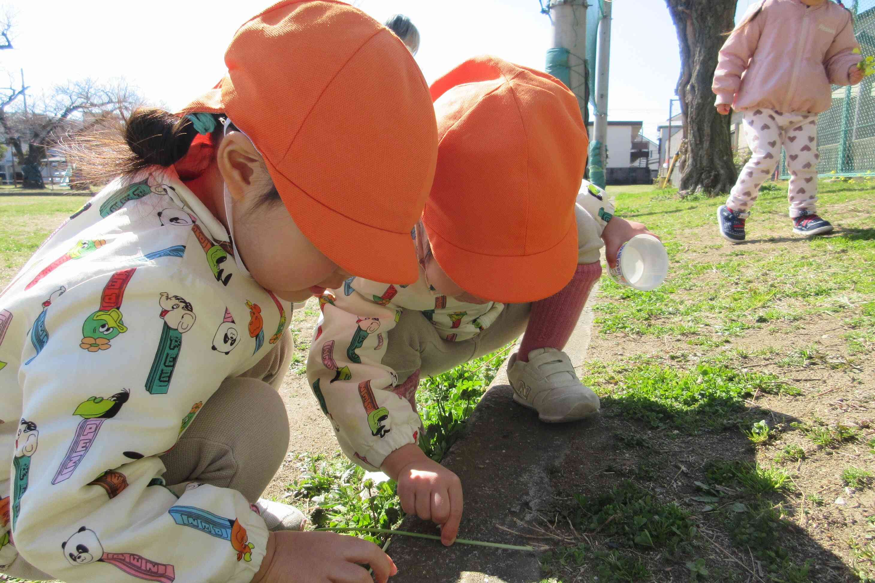 何かを発見！観察中...