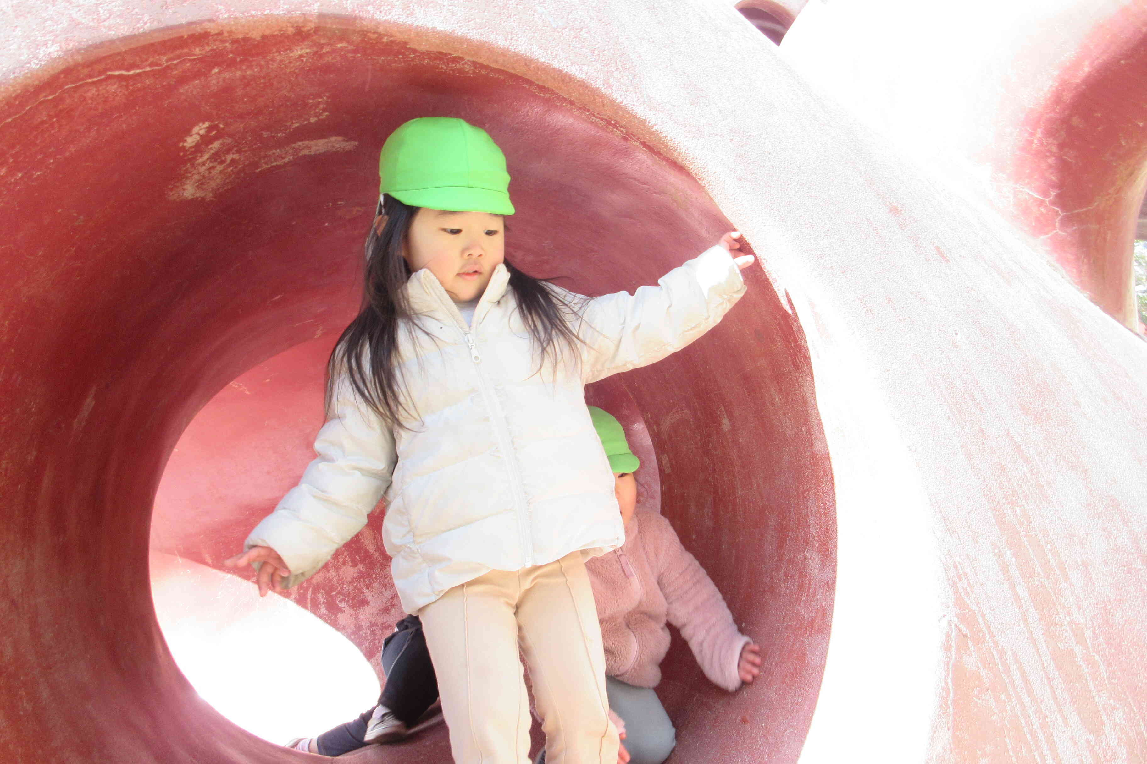 ここはタコの足の中です。