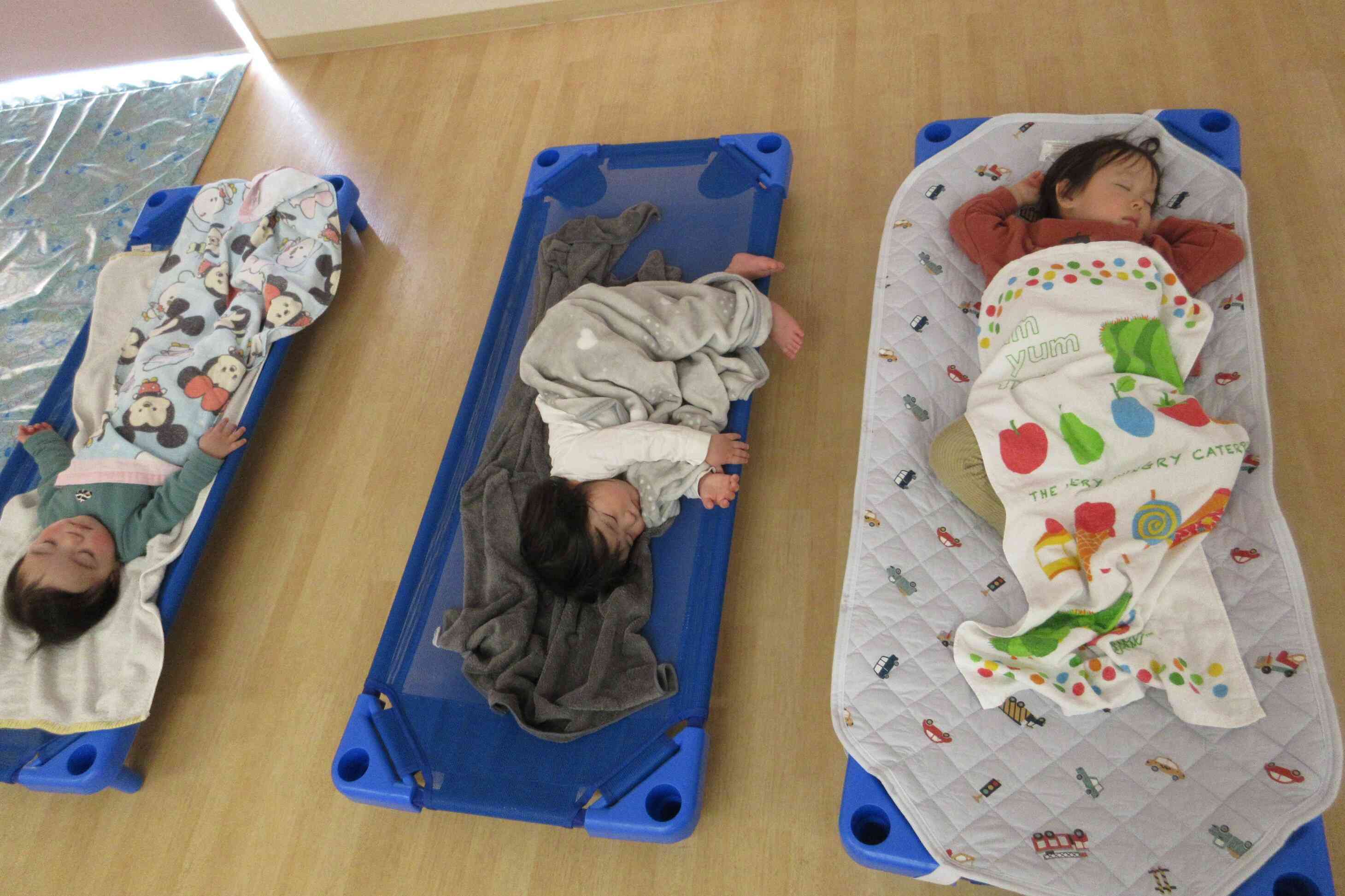 来年に向けて…