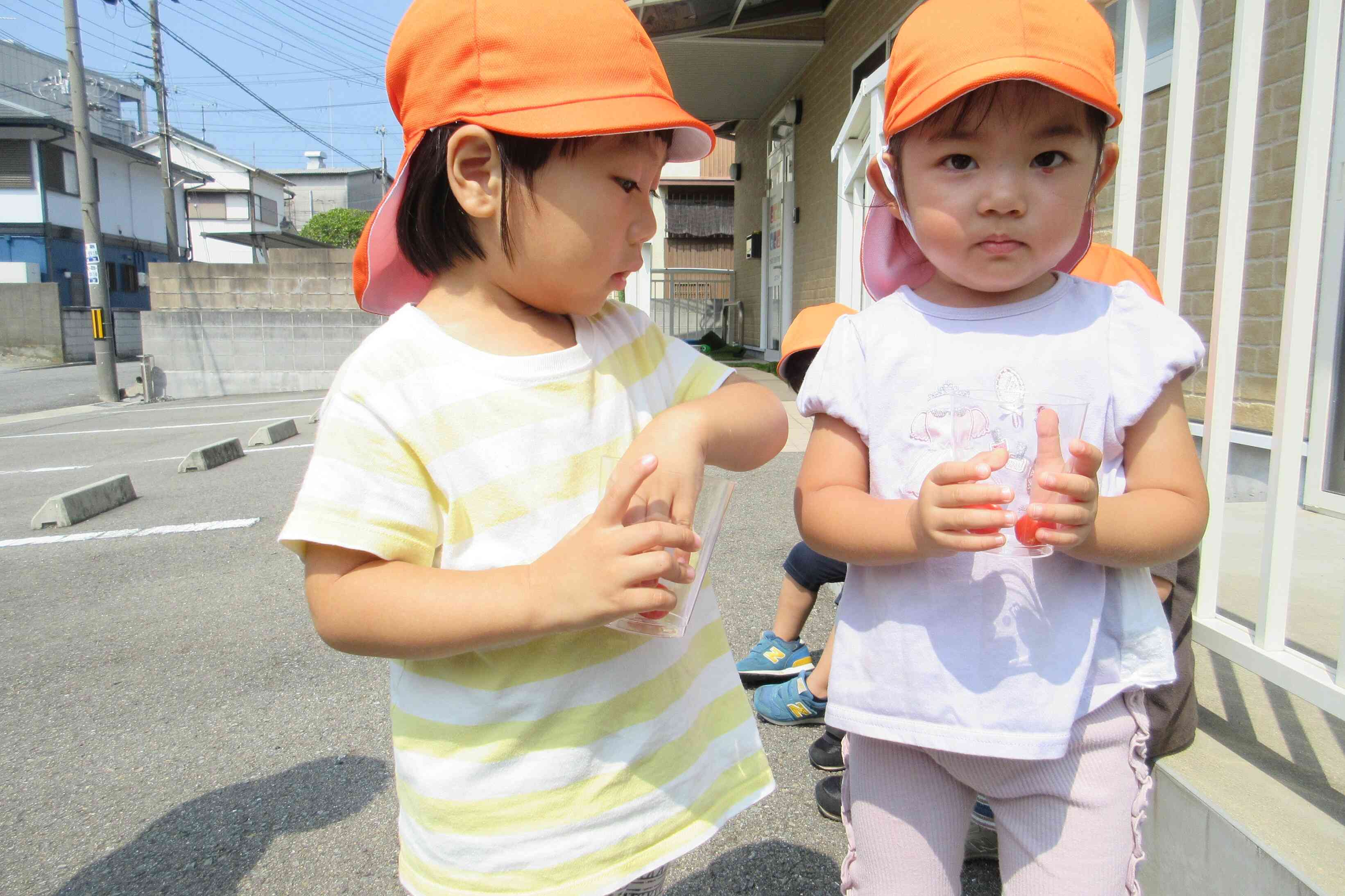 ミニトマト収穫したよ♪浮かべるとどうなるかな？
