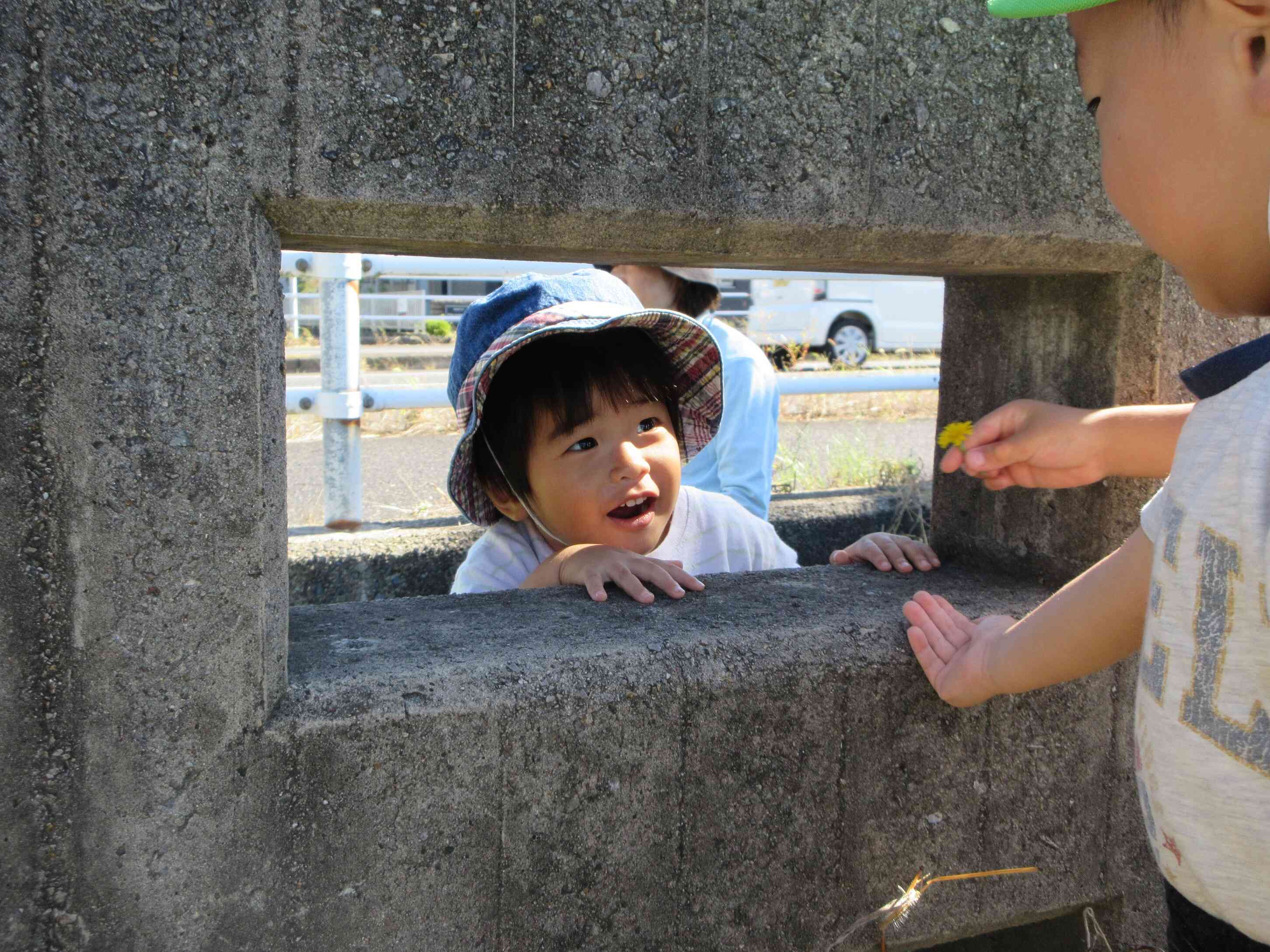 ひよこ組のお友だちも一緒に公園で遊びました。