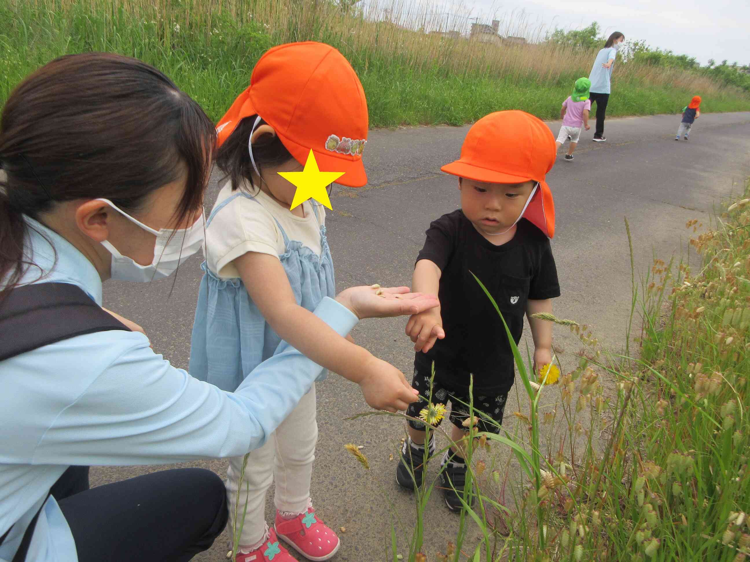 お花見つけたよ！