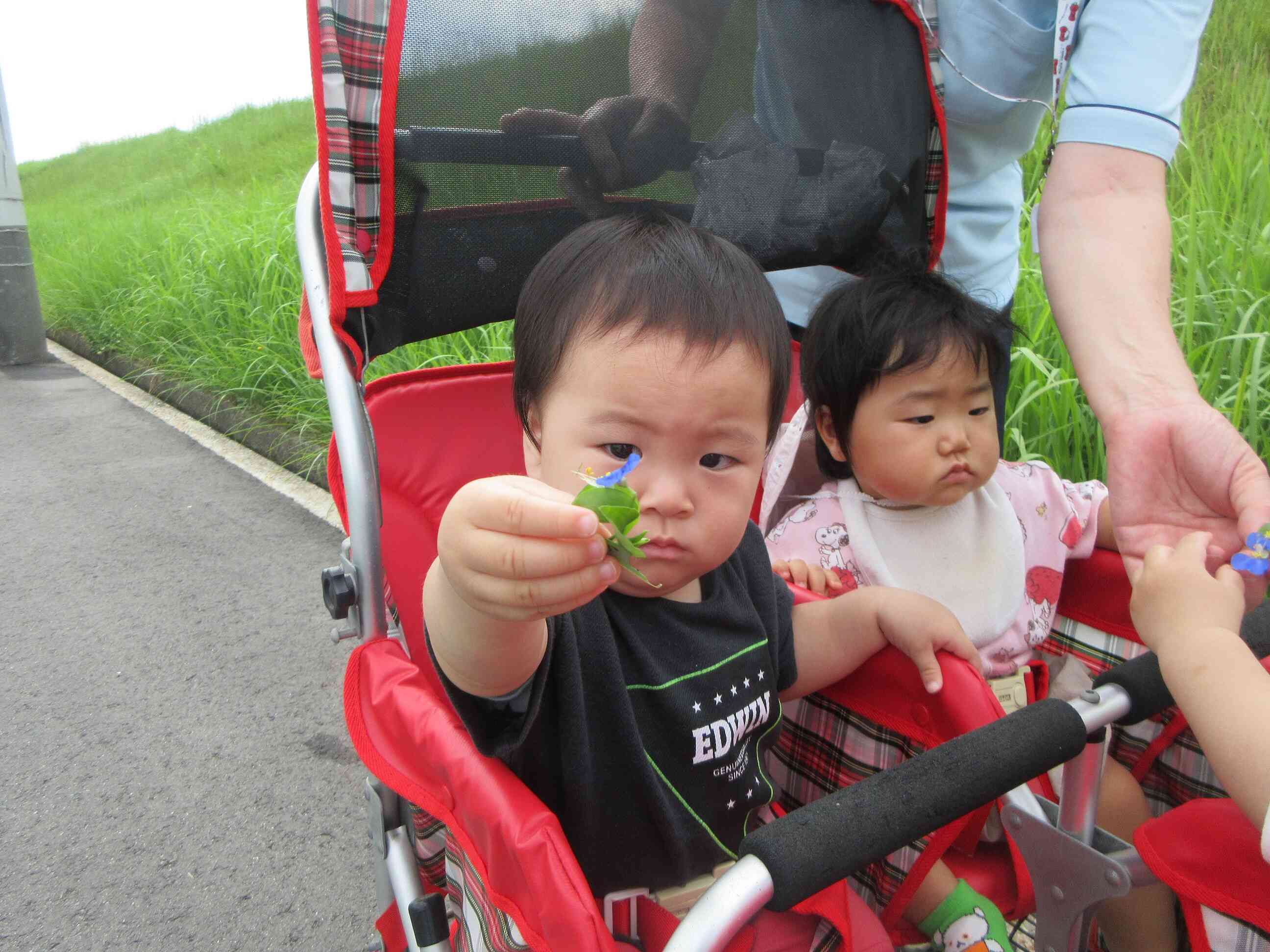 秋見つけを楽しんでいます
