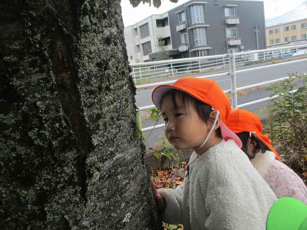 戸外あそびは発見がいっぱい！