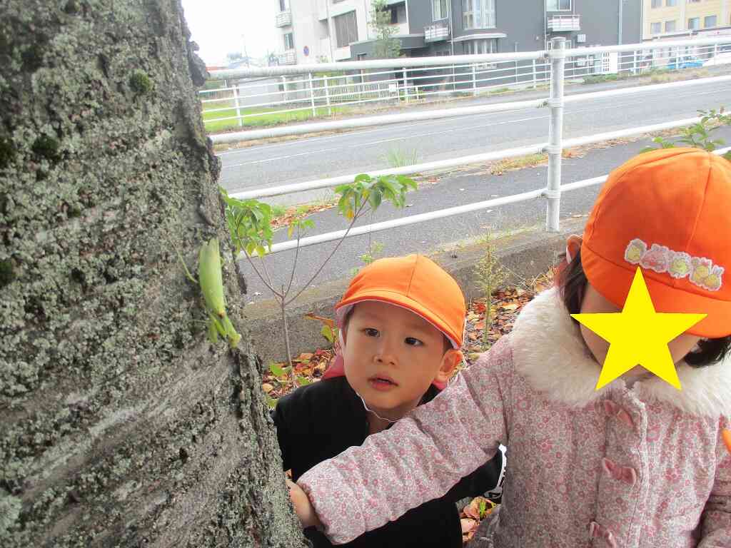 かまきりがおりてきたー！