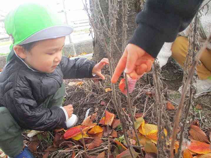 ここにあるよ～
