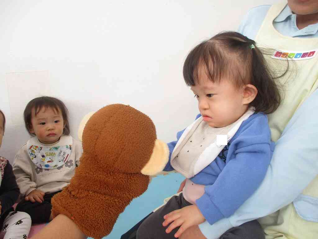 ハロー、モンタ！