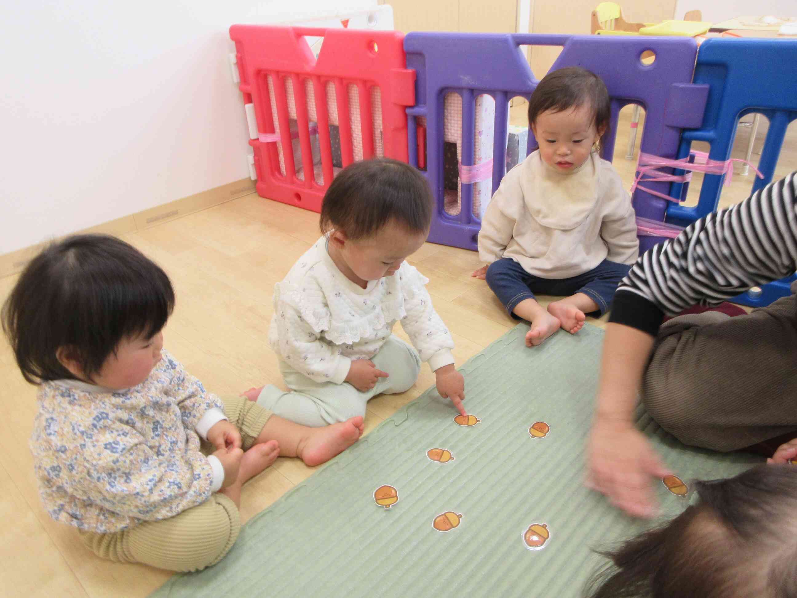 どんぐりあった！！