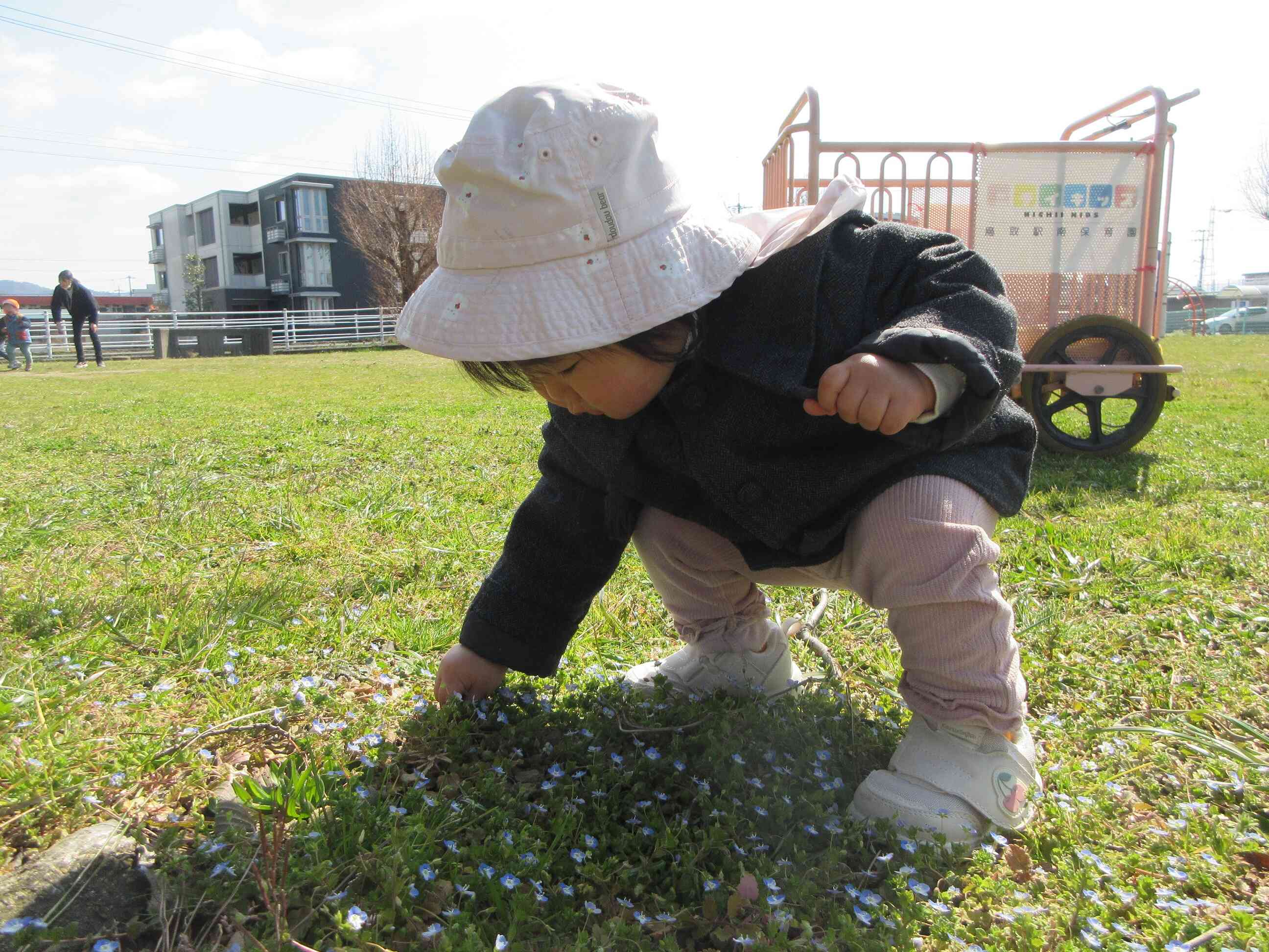 天気のいい日は近くの公園で遊んでいます「おはなあったよ！」