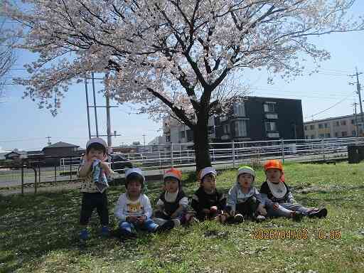 桜の下であそんだよ（1，2歳児）