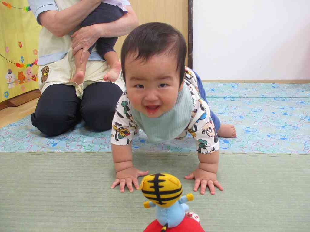 新しいお友だちが増えました（ひよこ組・０歳児）