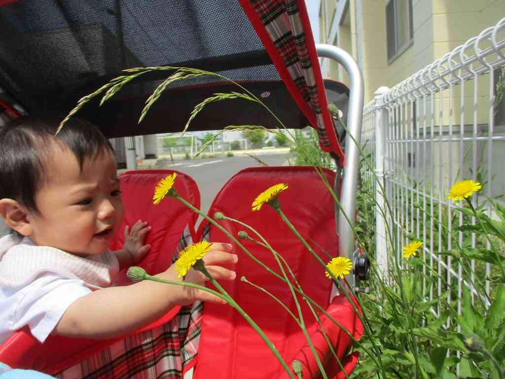 ニチイキッズ鳥取駅南保育園の取り組み～子ども一人一人の「やってみたい」を大切に～