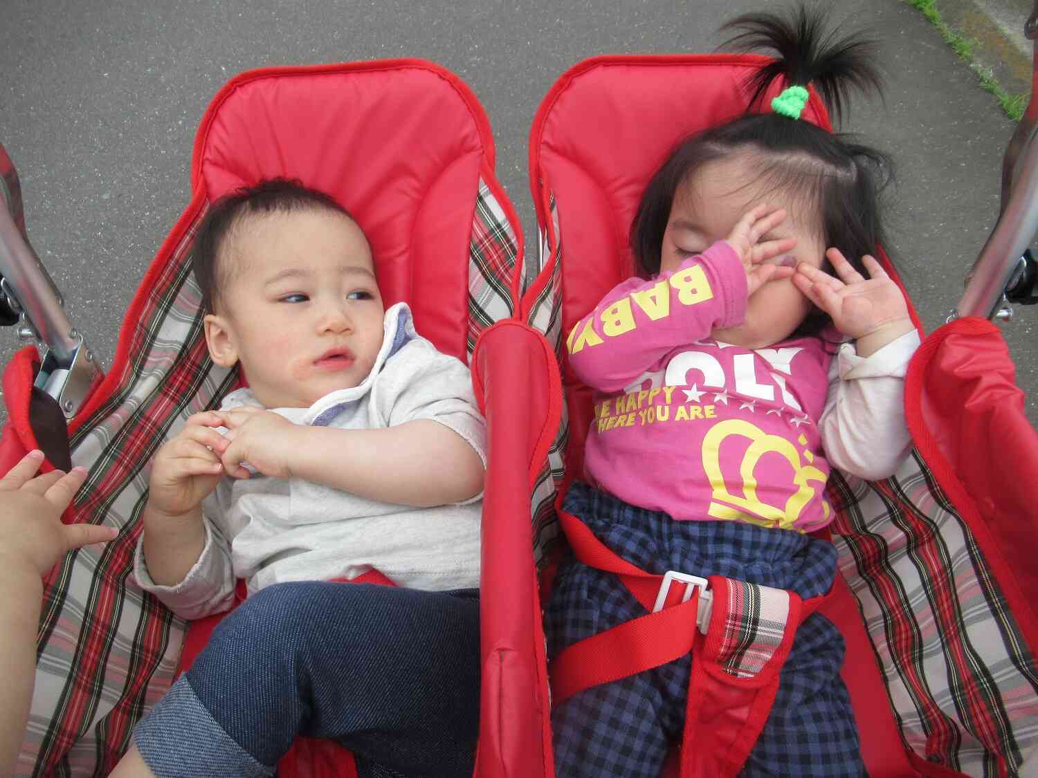 お散歩気持ちよくて眠いなぁ…