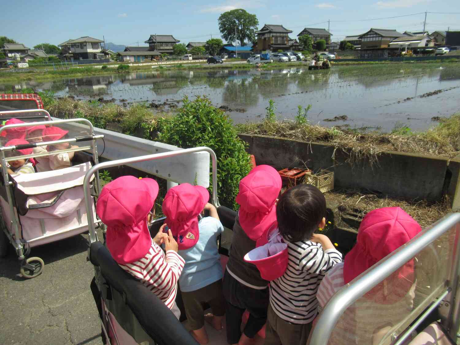 お散歩気持ちいいね☆