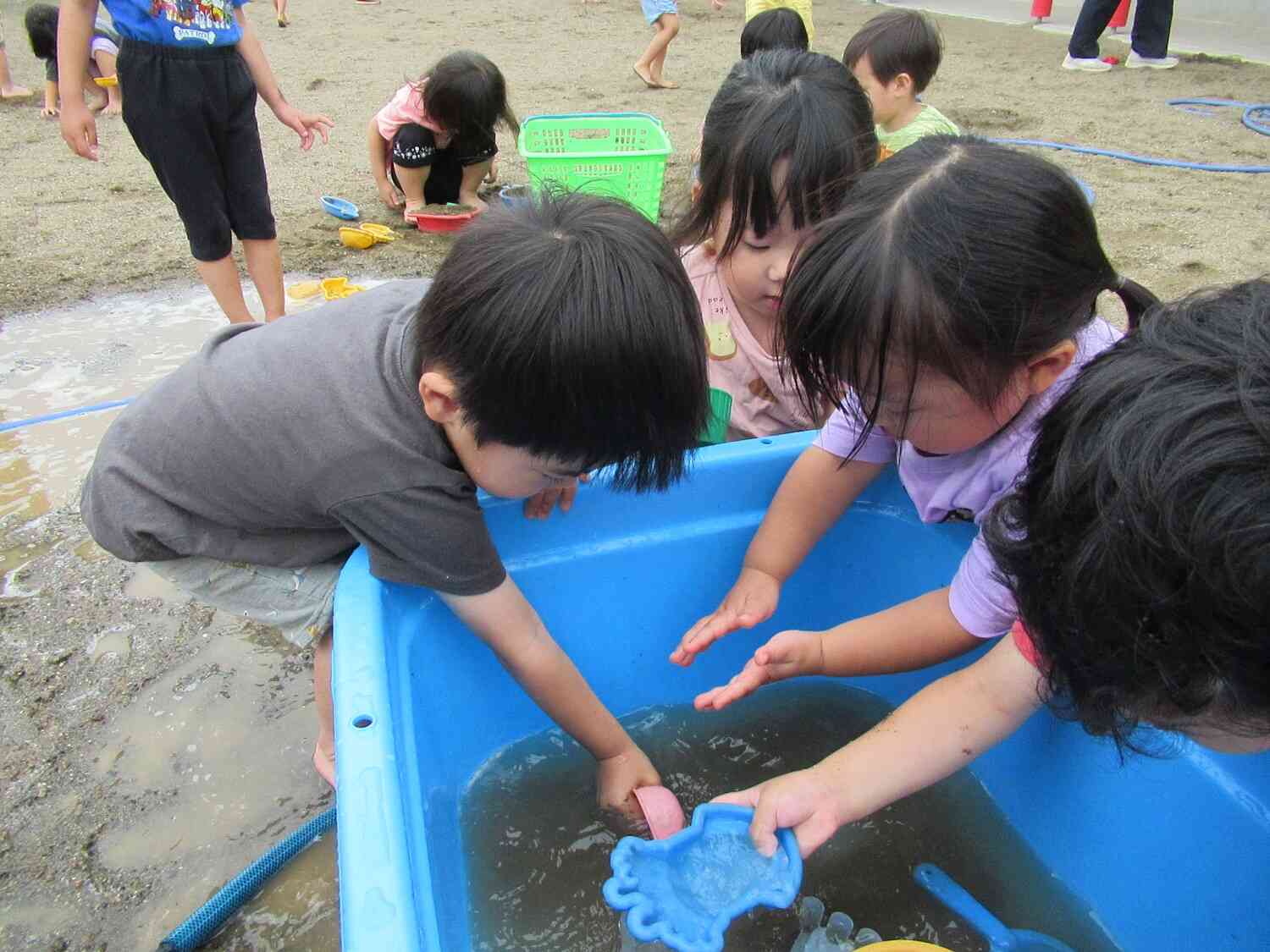 たのしいね！うさぎ組♬