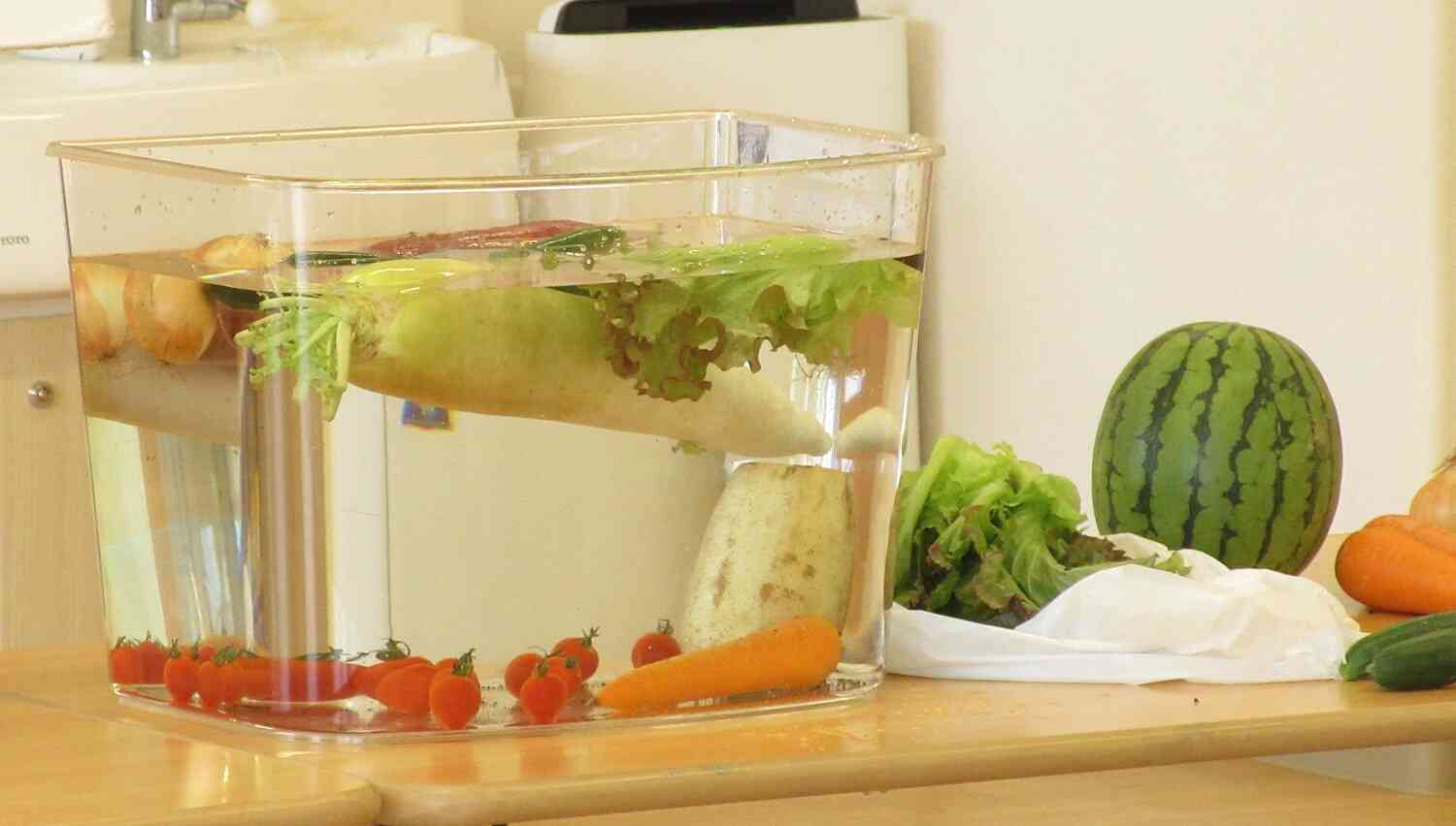 食育～STEAM浮く野菜・沈む野菜～