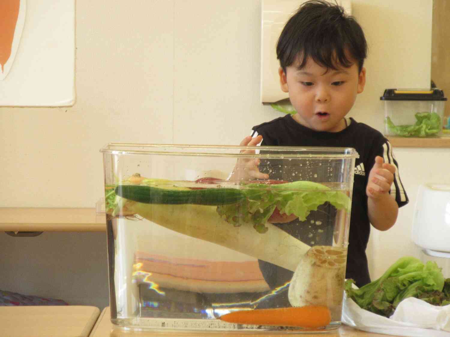 わぁ！浮いたよ！！