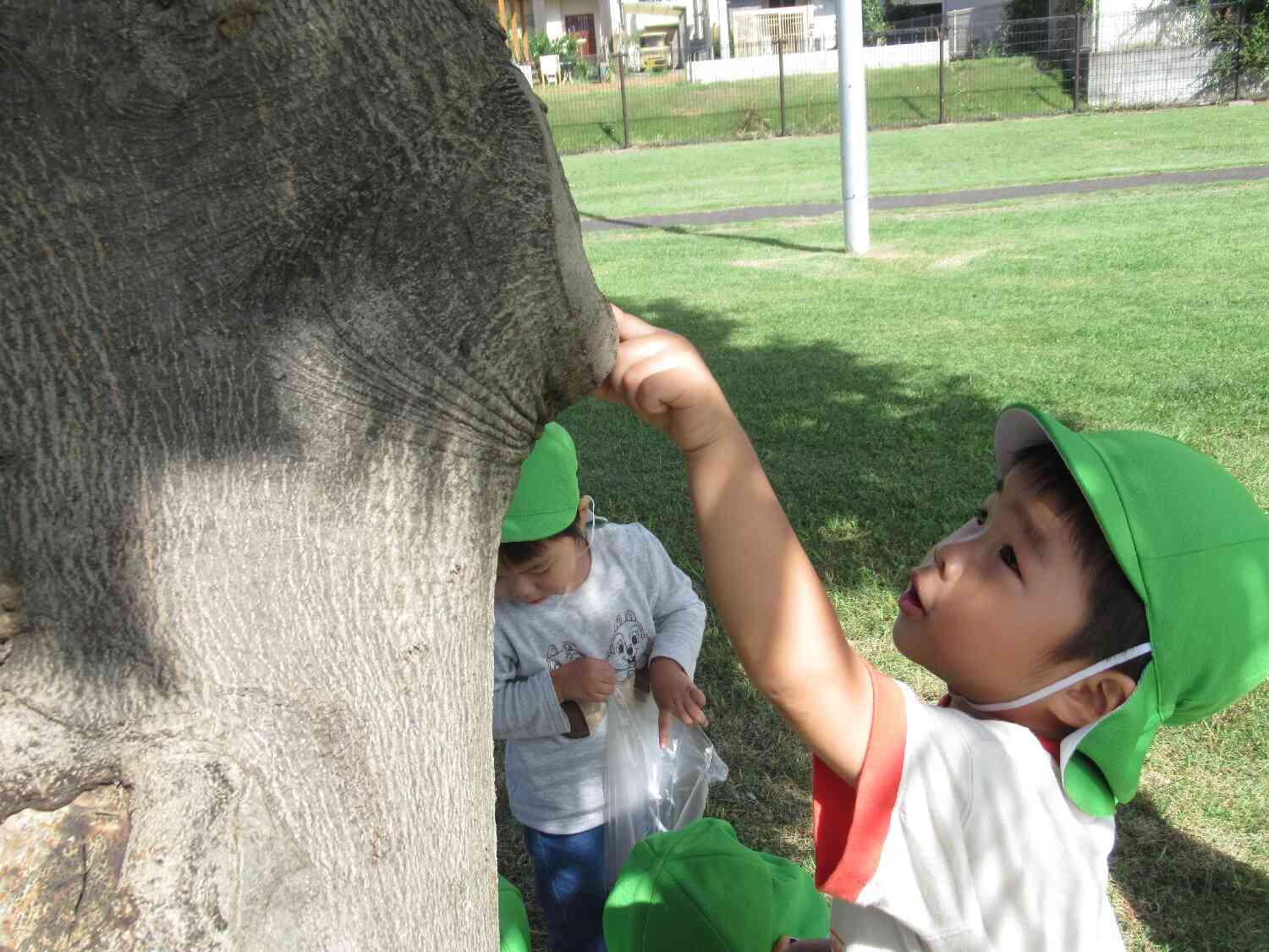あ!見てみて!何かいるぞ!?