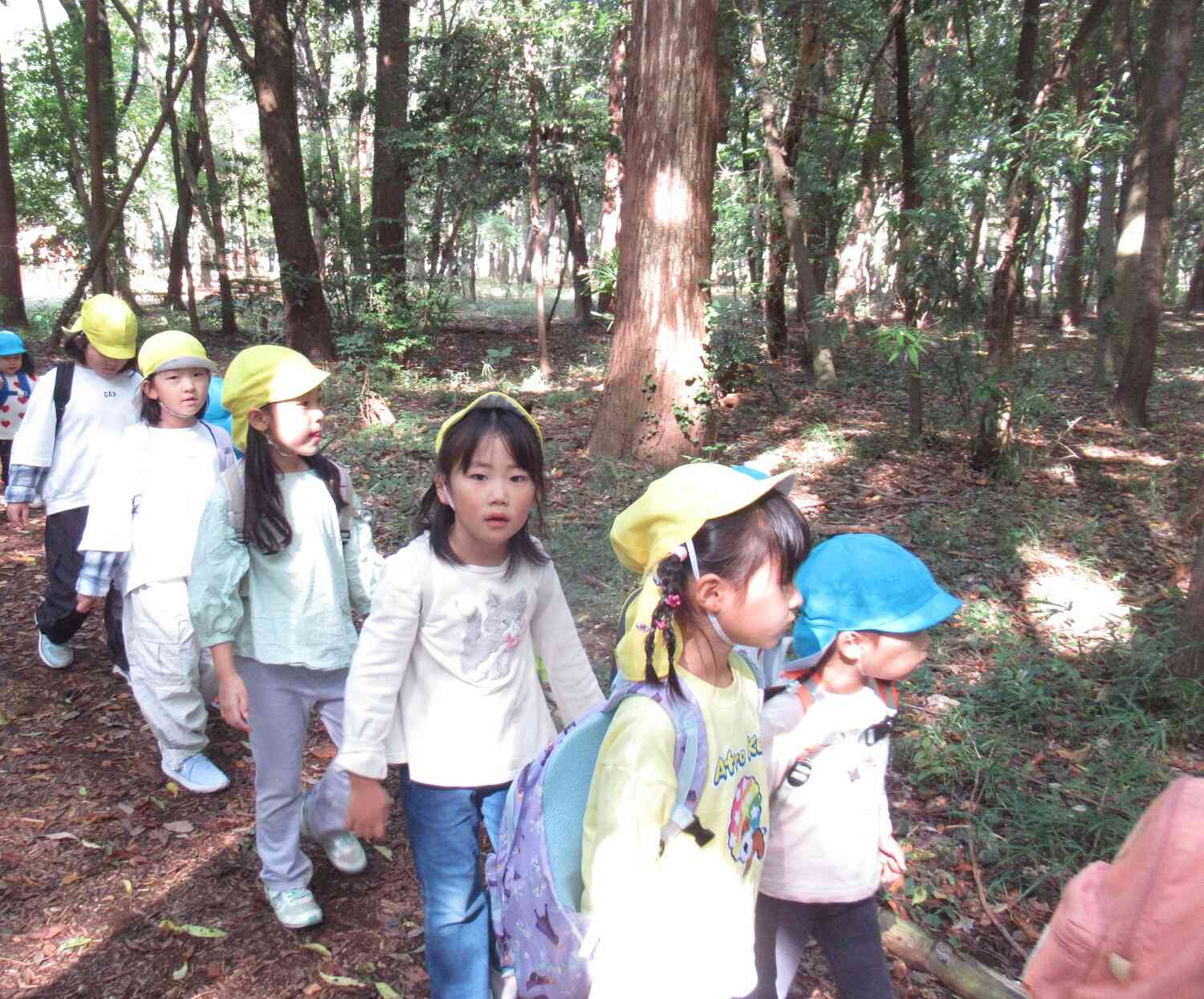 ドキドキ☆森の奥へと入っていきます☆