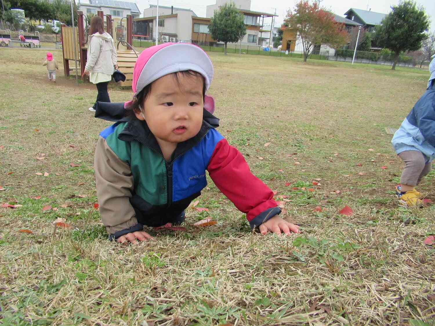 丘をのぼるぞ～～！