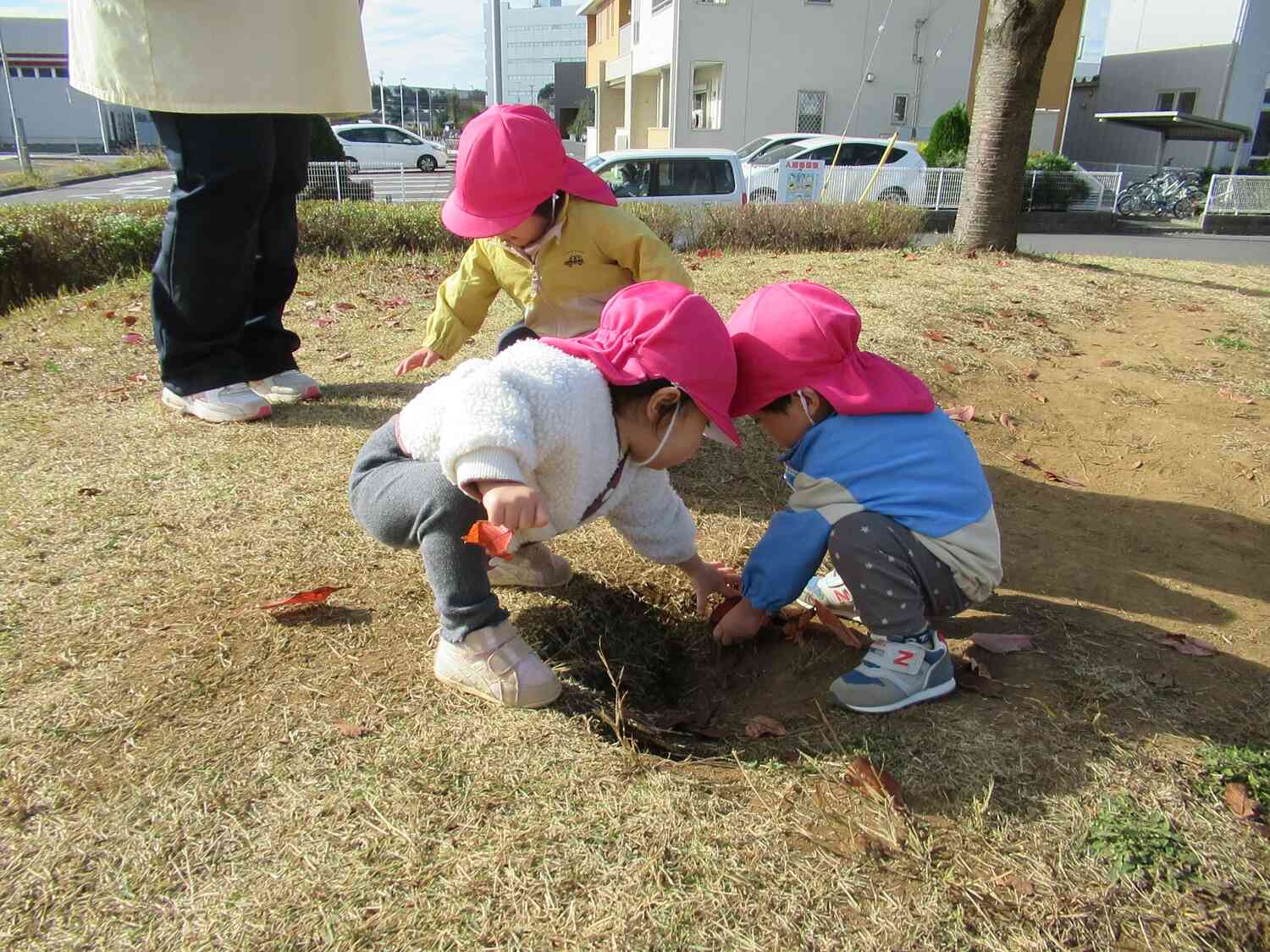 葉っぱ見つけたよ☆
