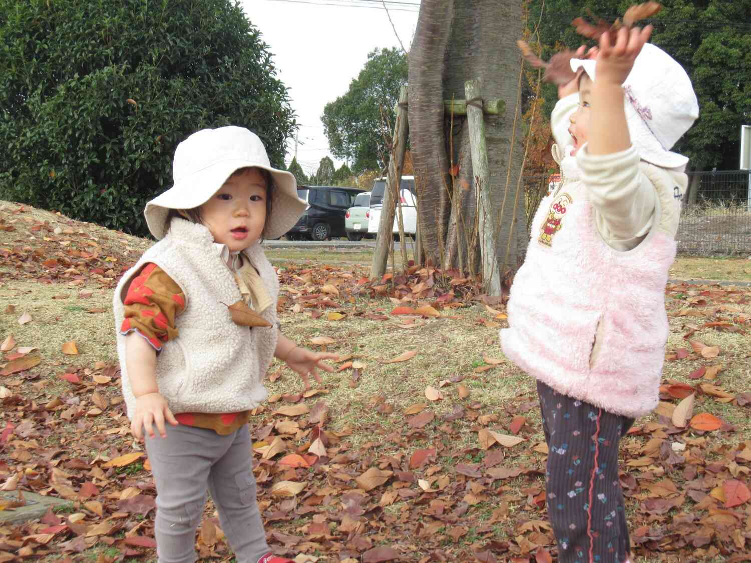 公園には落ち葉やどんぐりがいっぱい！！