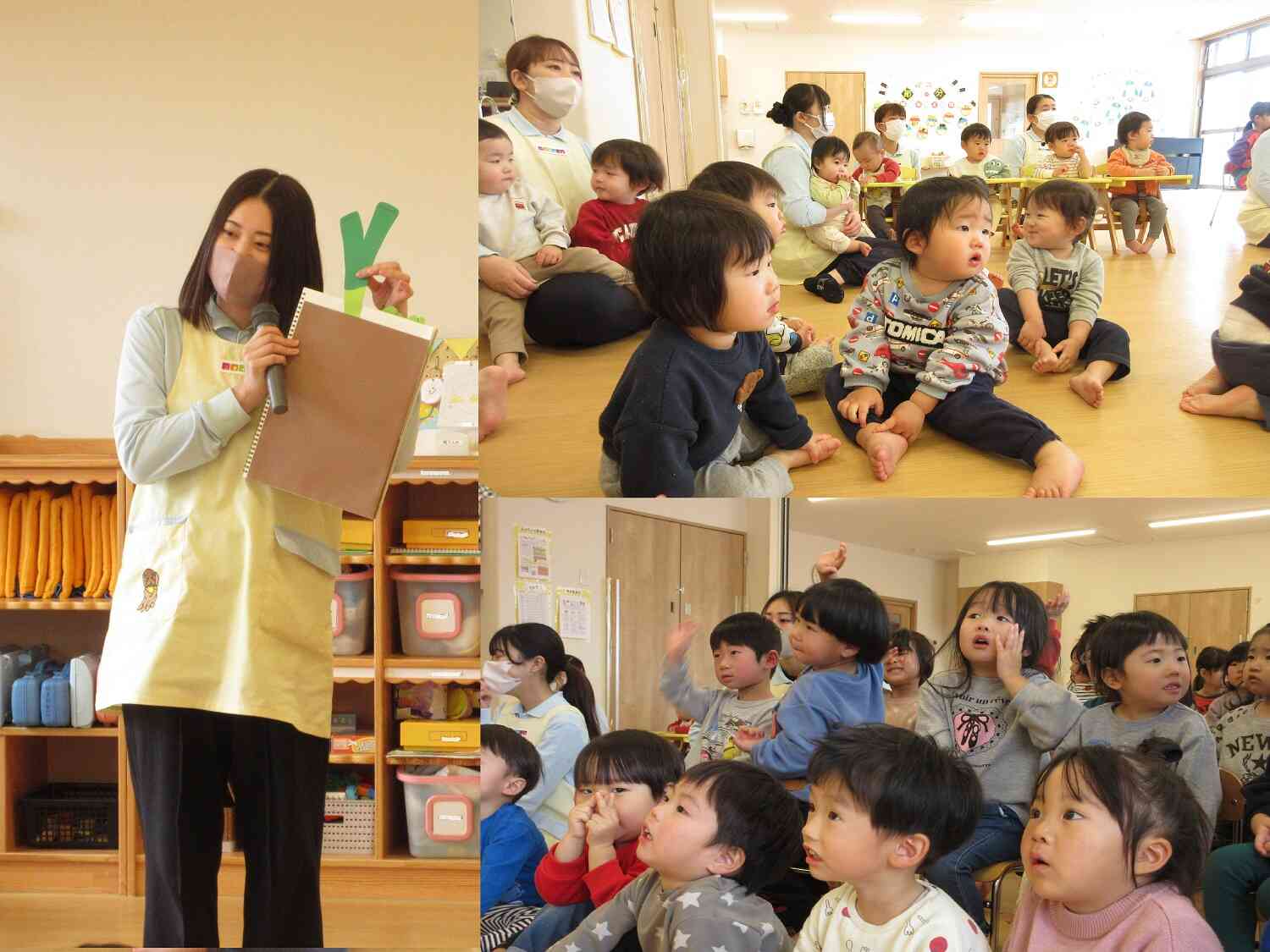 何の野菜の葉っぱかな？