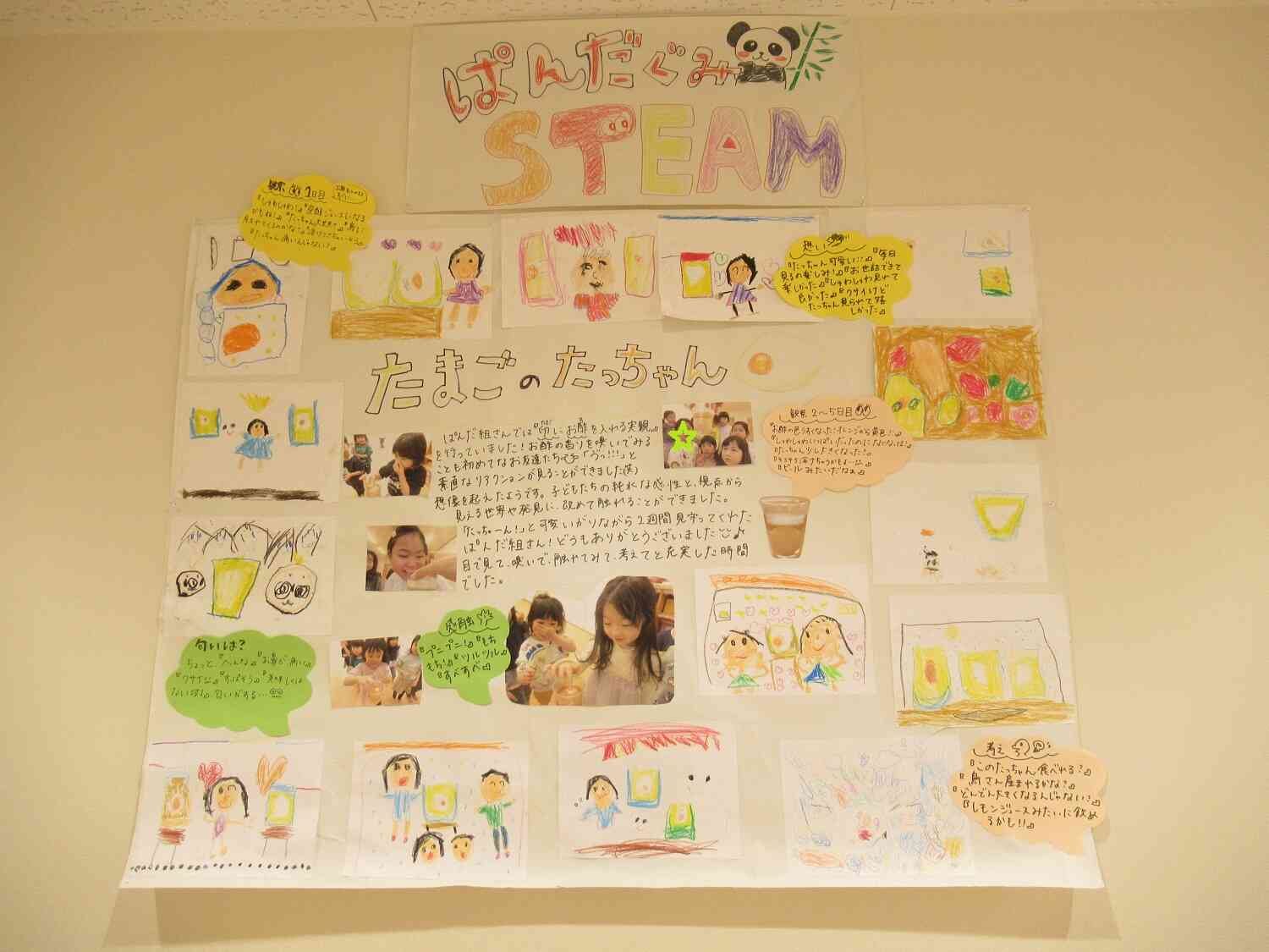 ぱんだ組～STEAM～観察からその後