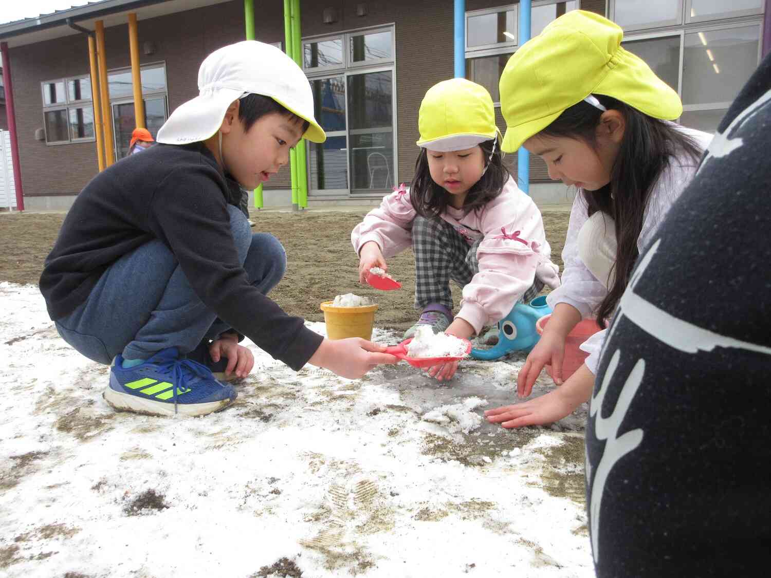 あれ？昨日と違うね。