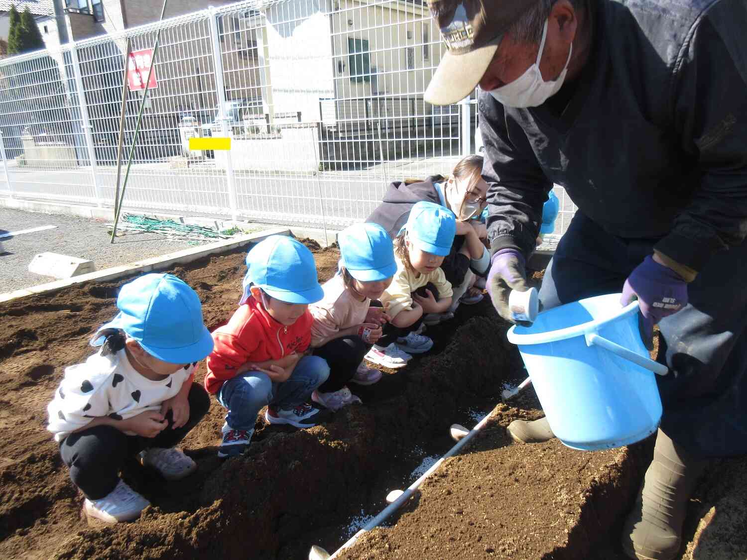 大きく育ってね☆
