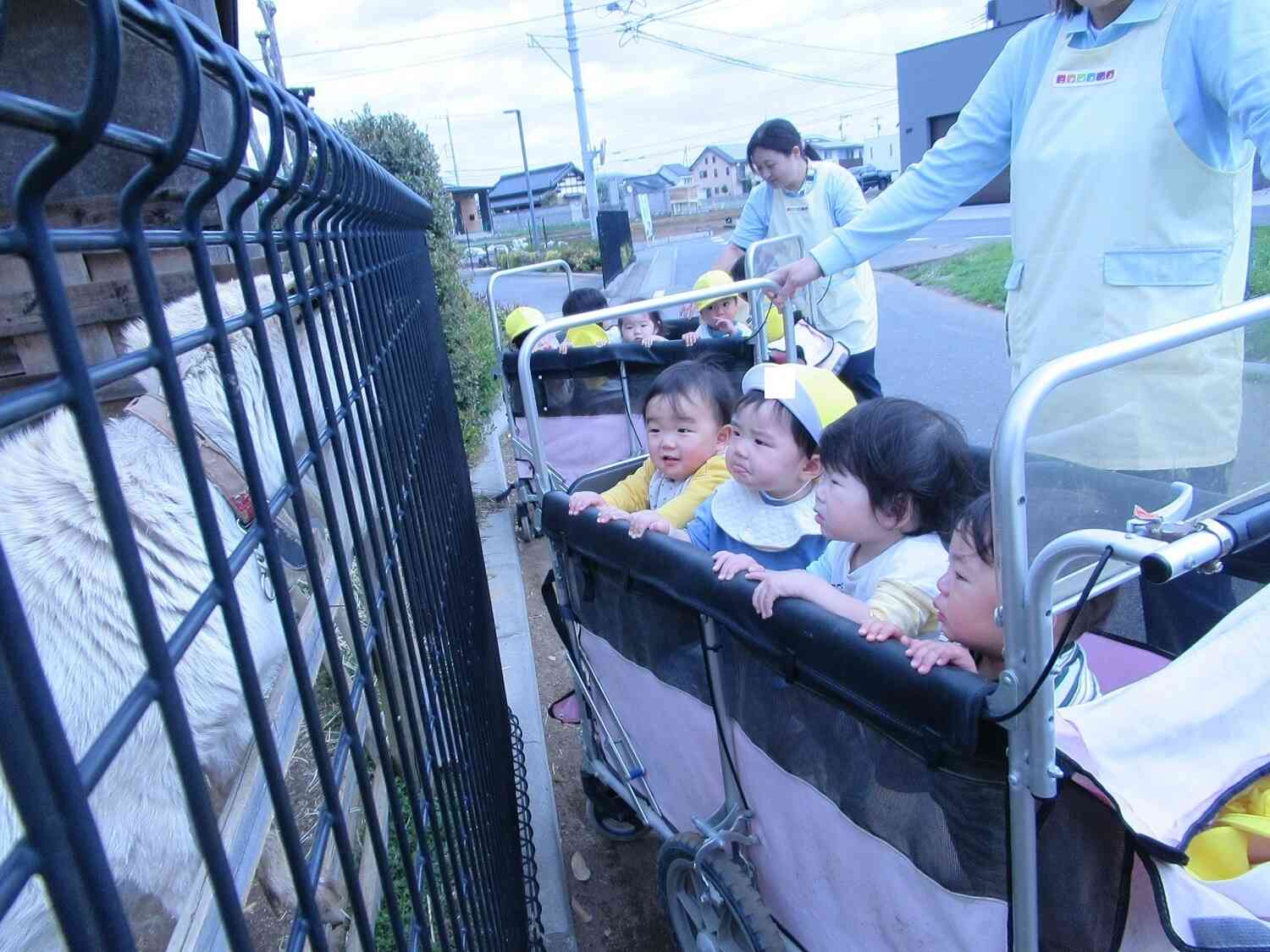 お散歩☆うれしいね