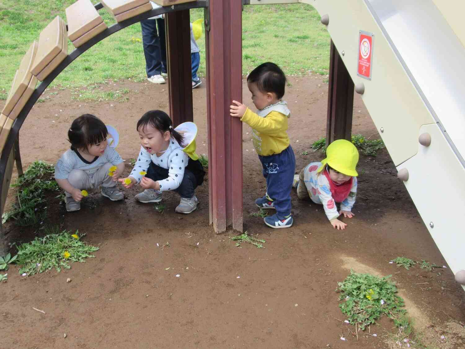 たのしいね☆あひる組