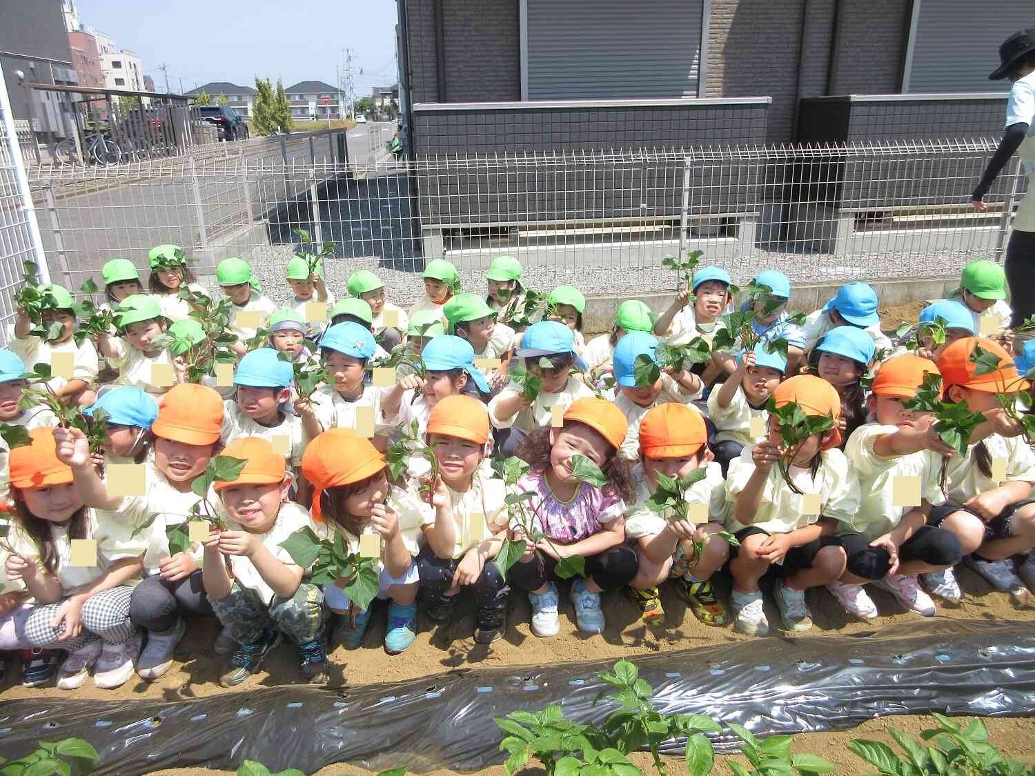 苗植え大成功！！