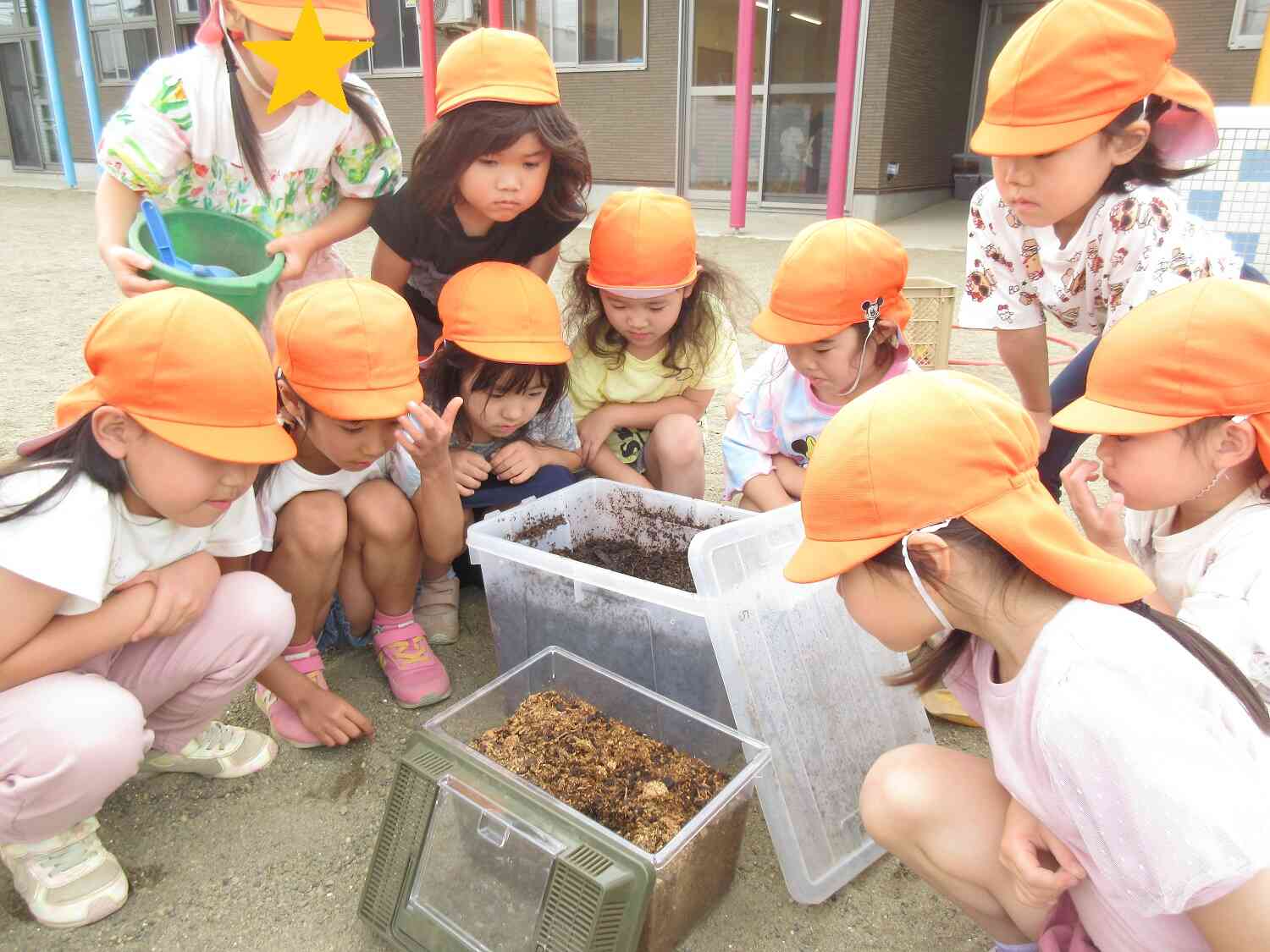 カブト虫さん でておいでー！