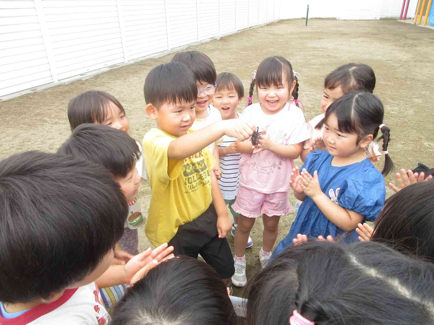 みてみて!カブトムシだよ☆